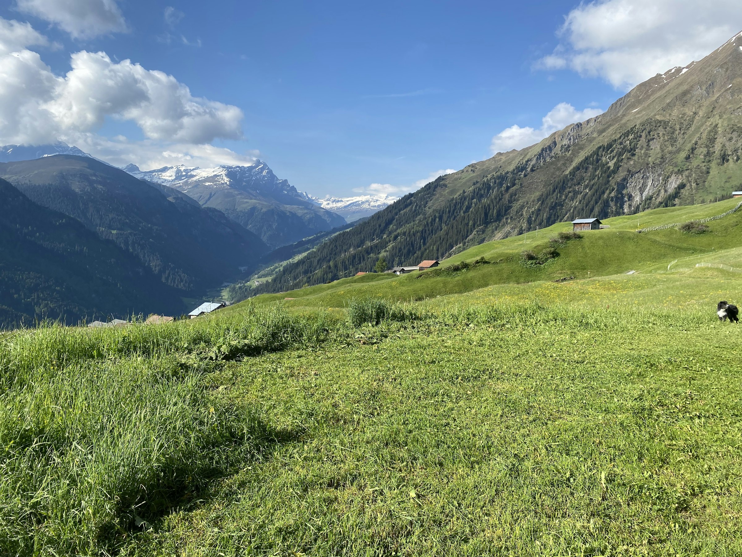 Bergcamp Mittligada photo 4