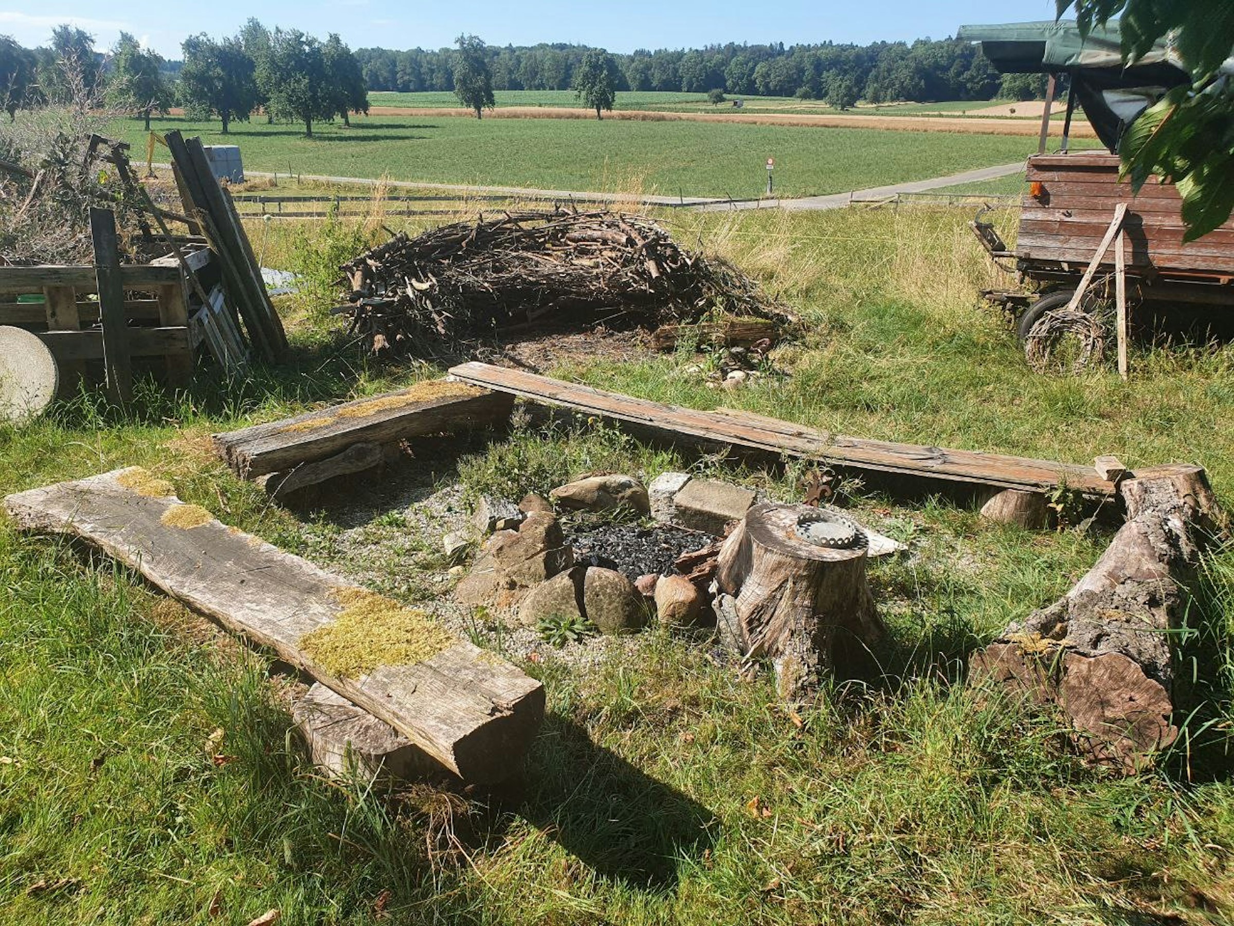 Augenweide photo 3