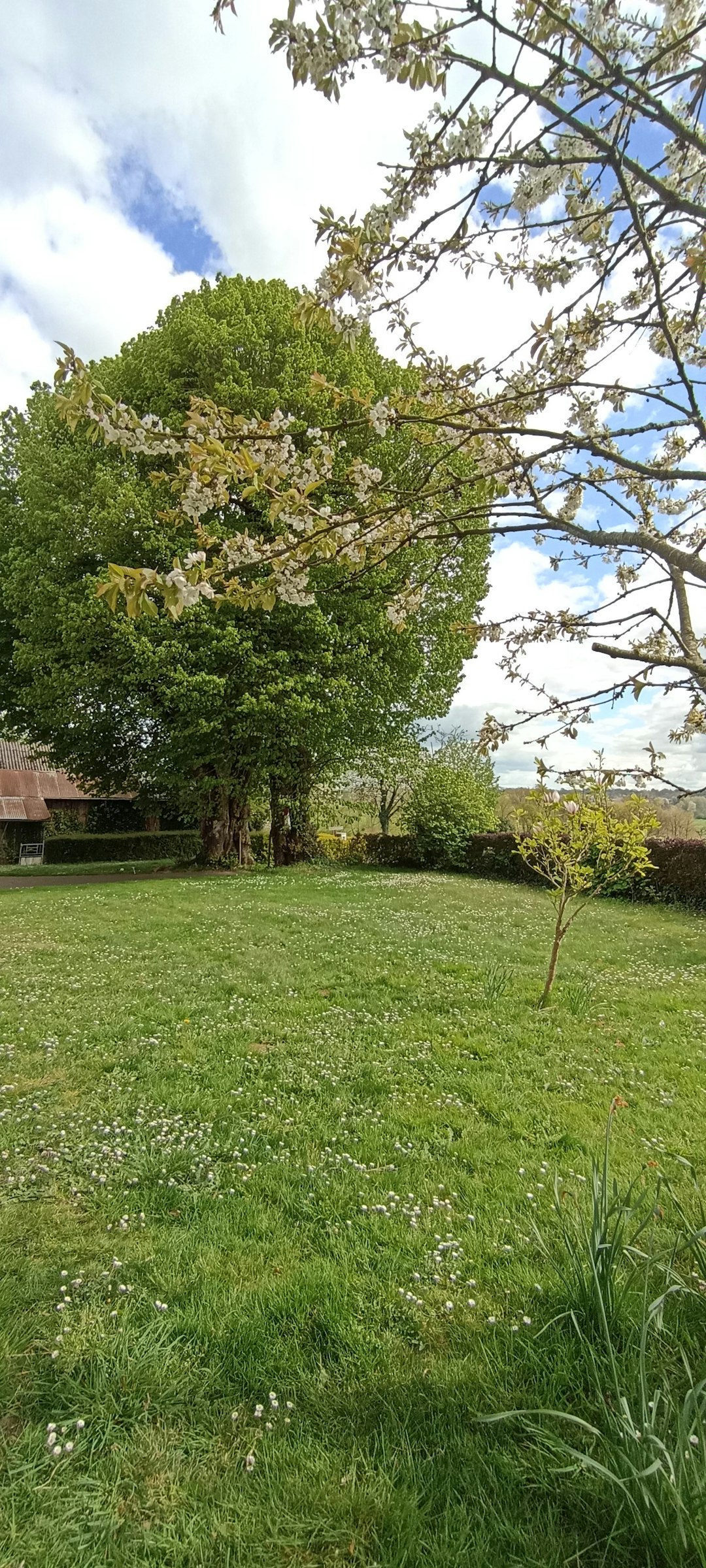 Ruhiges Camping in der Normandie photo 4