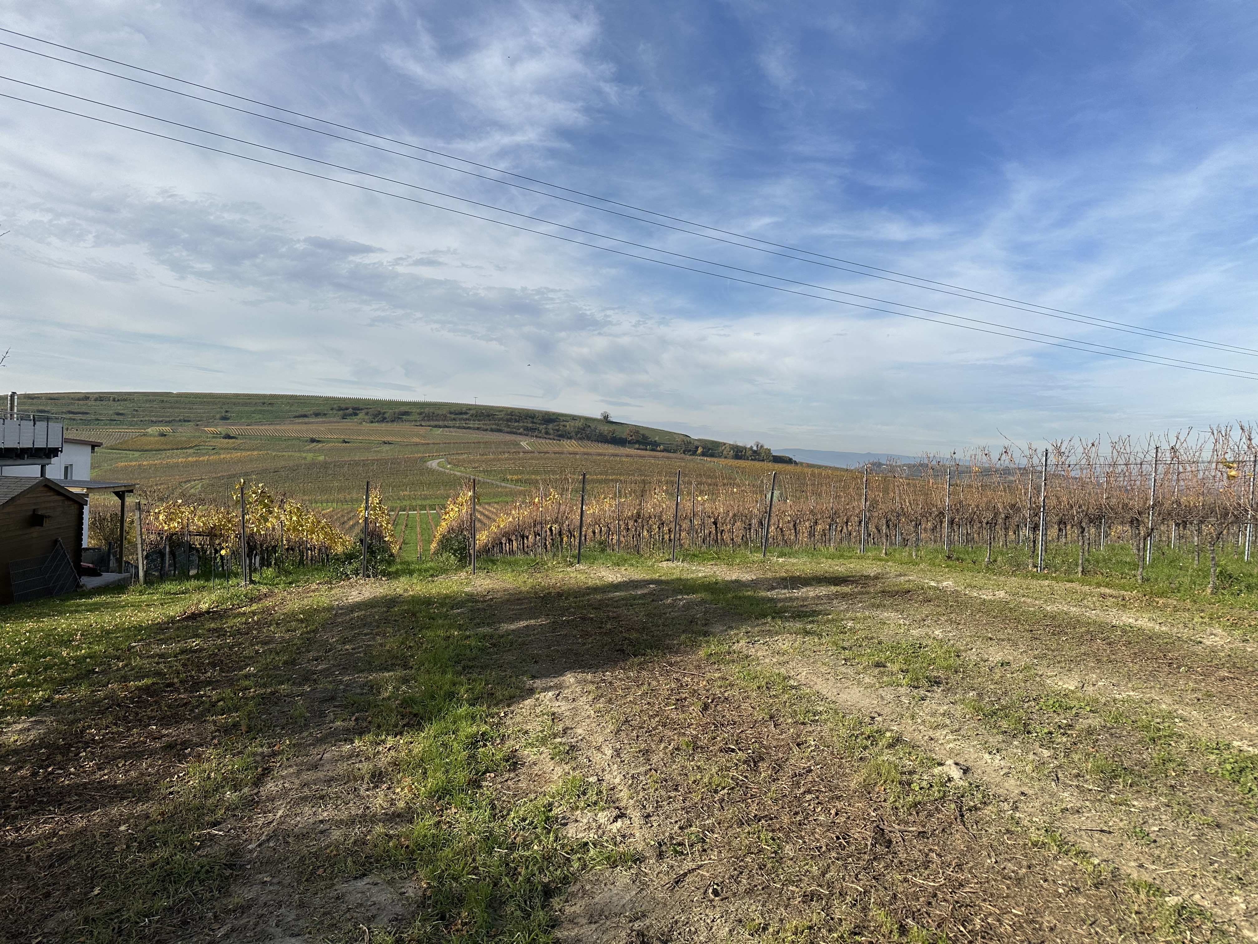 Camping im Weinberg auf dem Winzerhof photo 4