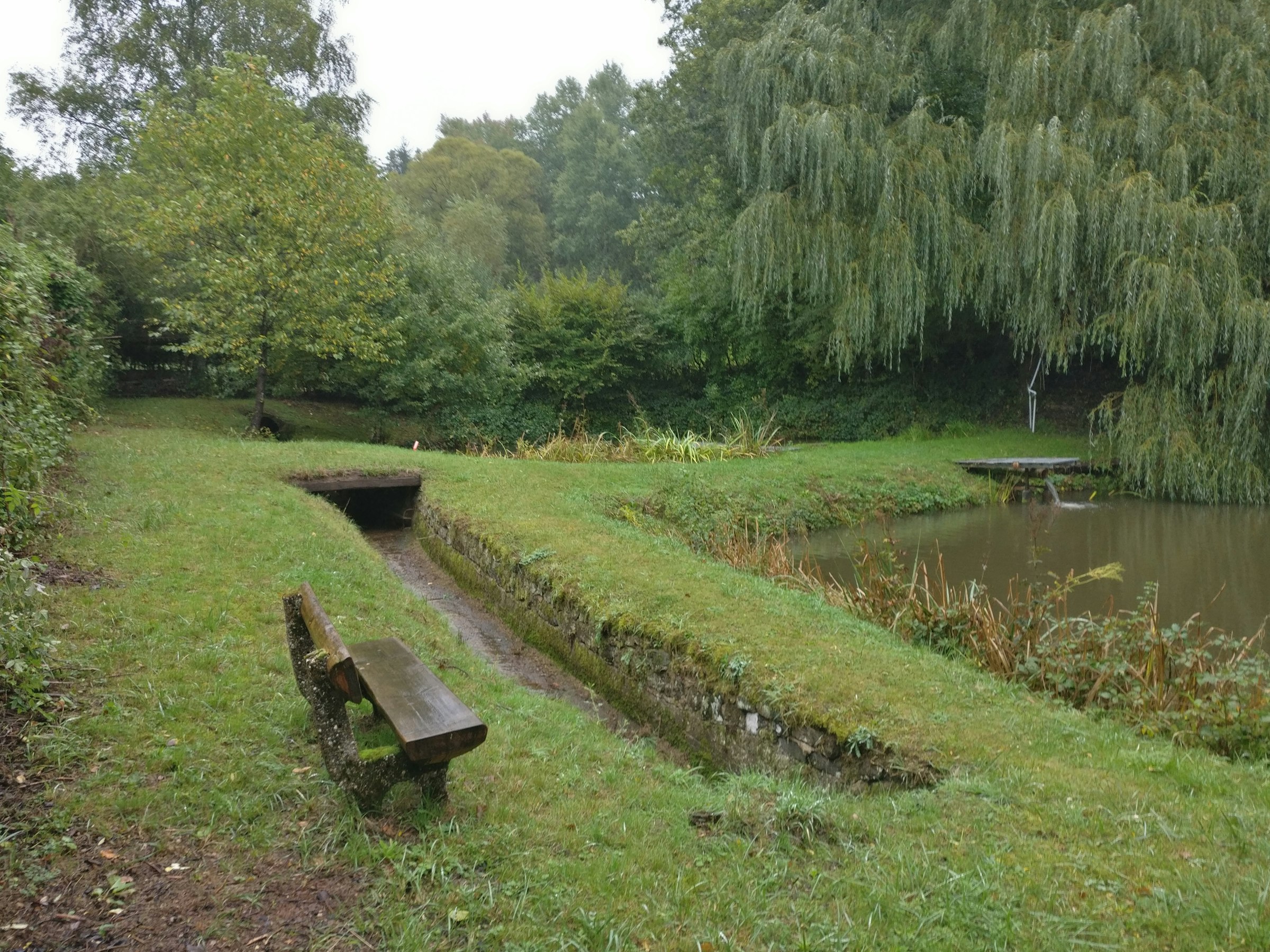 Forellenhof bei Friedels Enkel photo 5