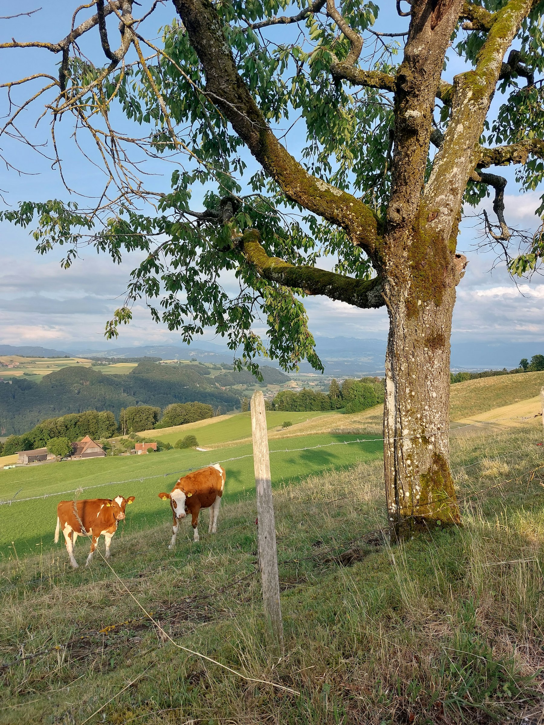 Natur und Gastfreundschaft photo 3