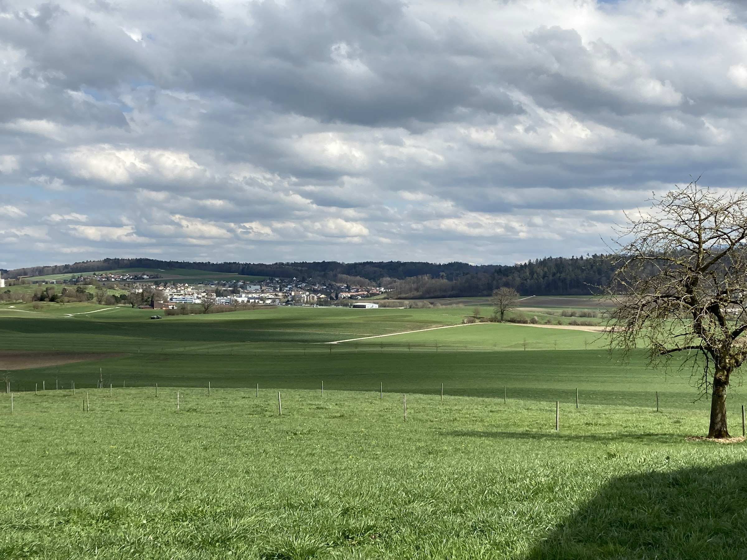 Pontet - camp sous le tilleul photo 5