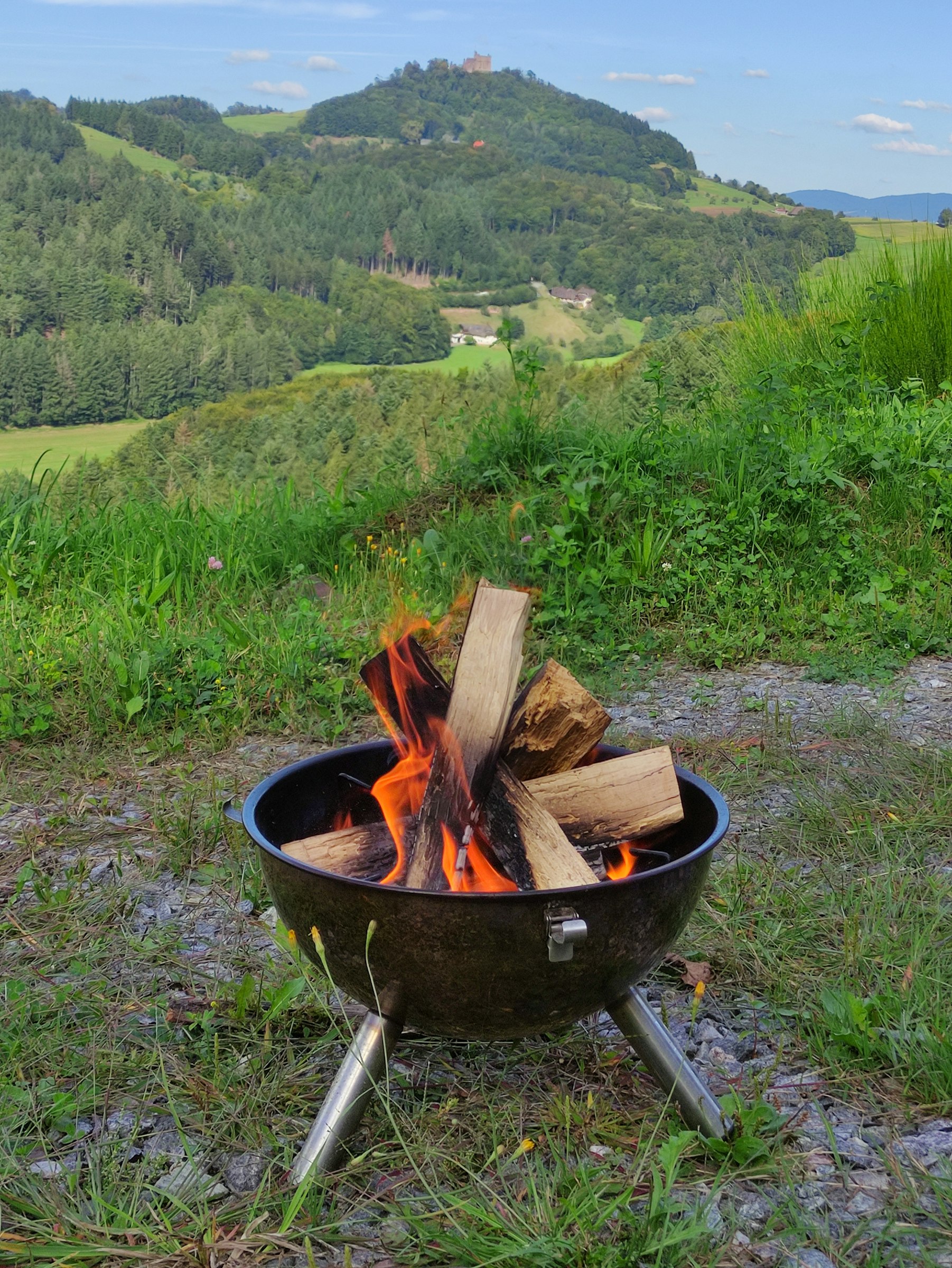 Schwarzwaldtannen mit Panormablick photo 2