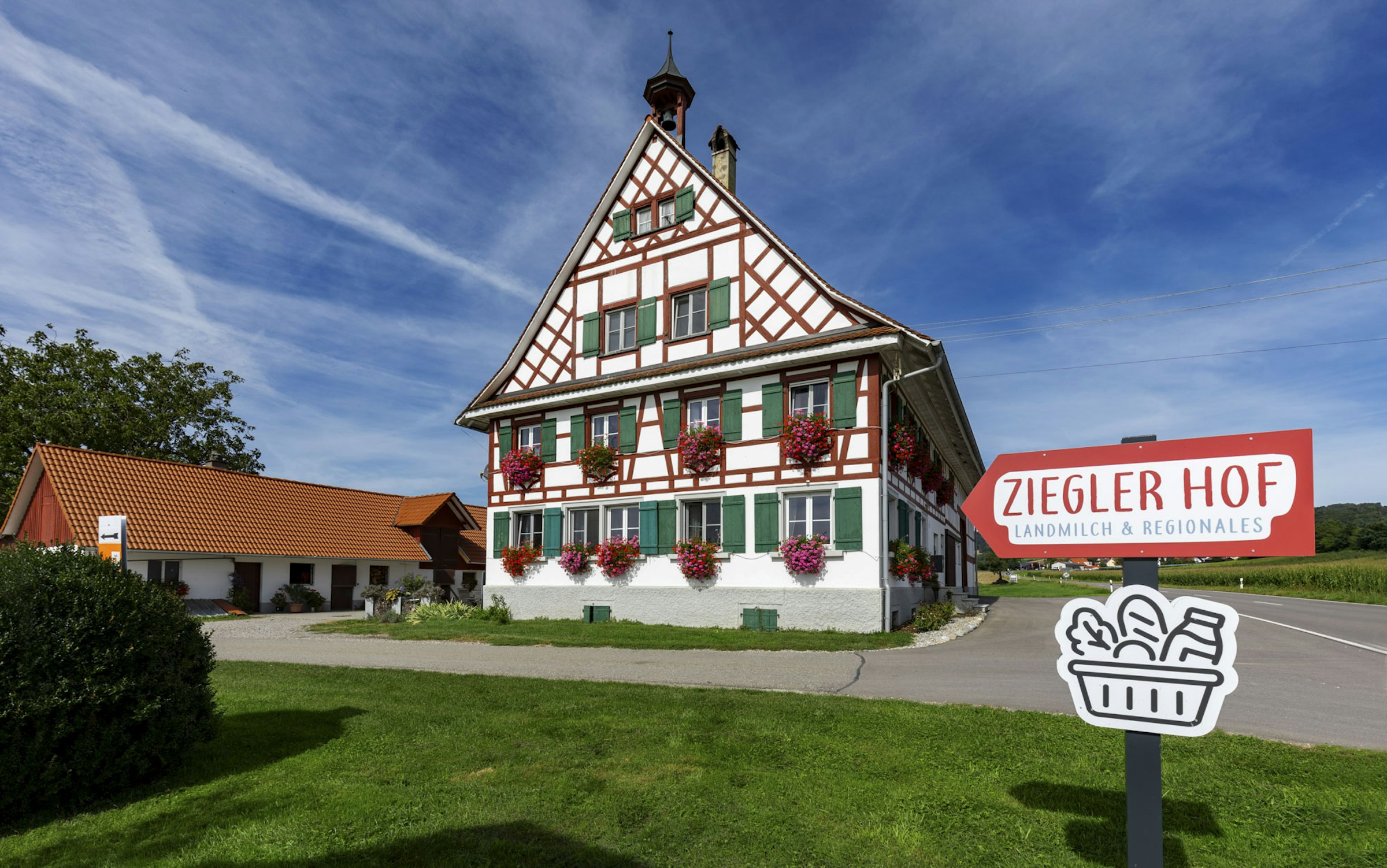 grüne Wiese mit Bergsicht photo 5