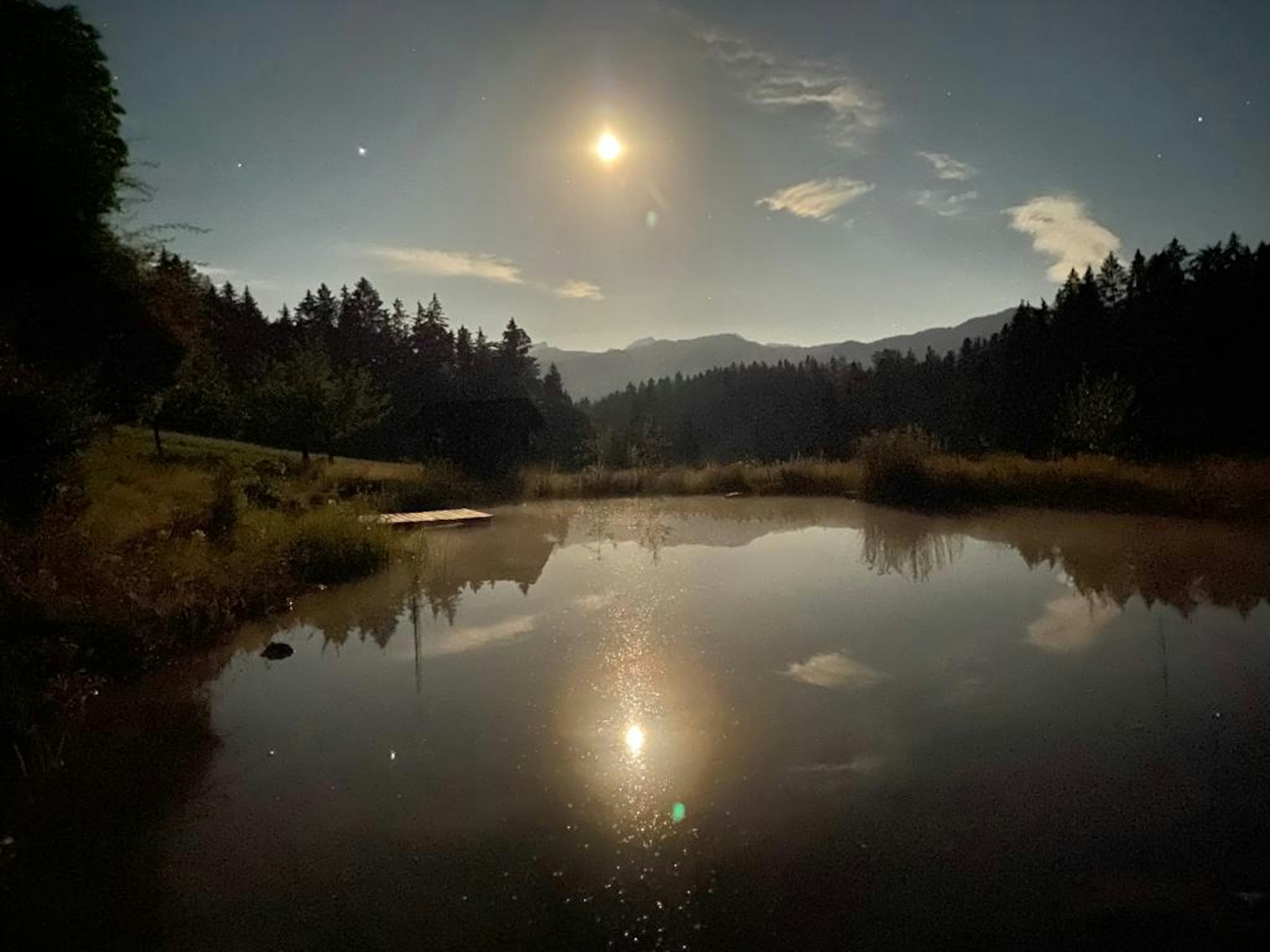 Natur pur photo 3