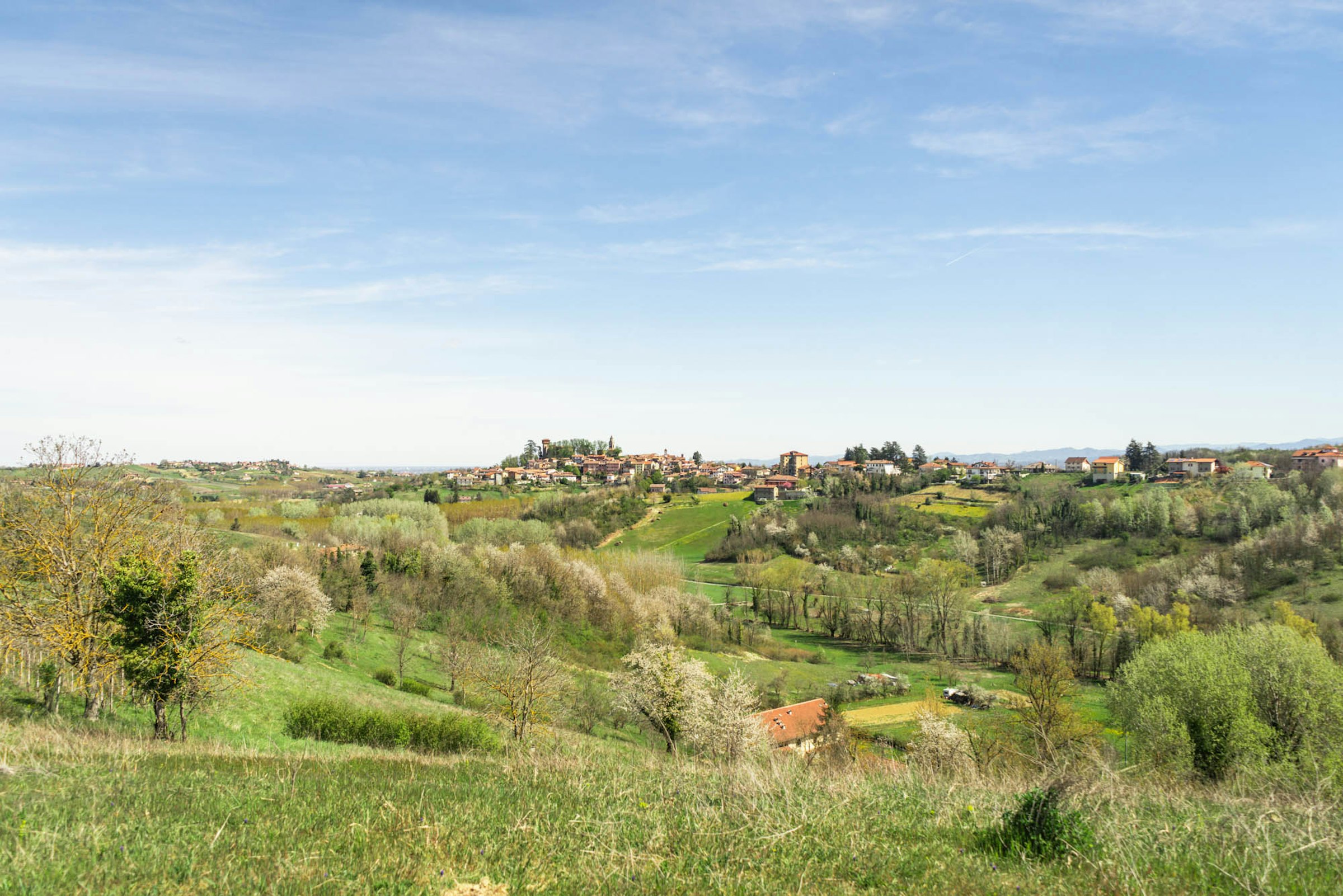 Camp La Signorina photo 5