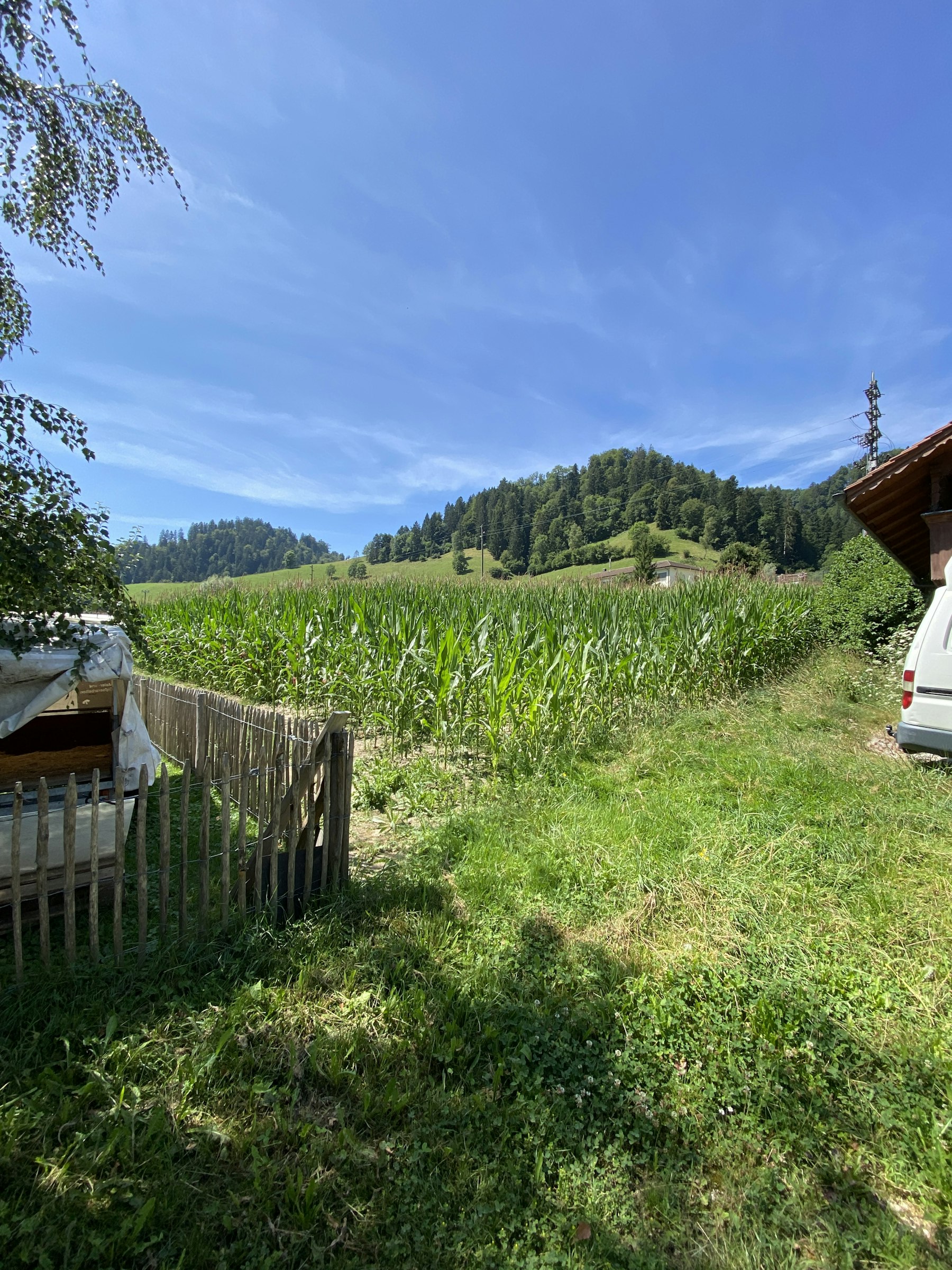 Camp am Feld