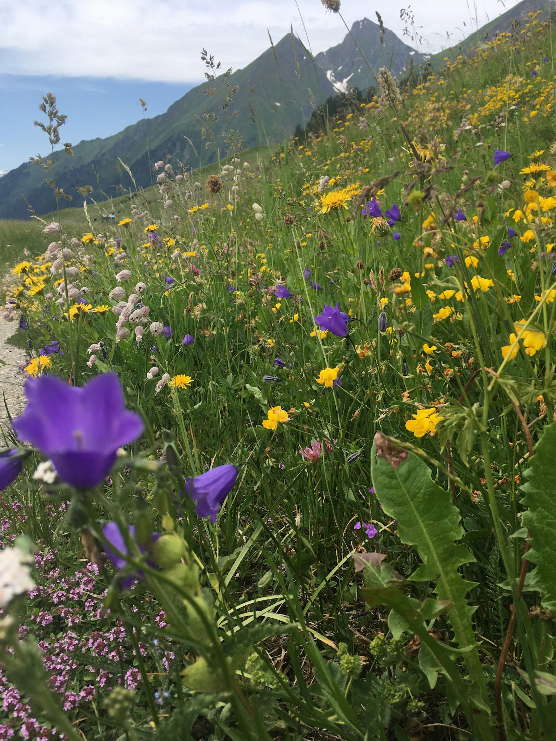 Bergcamp Mittligada photo 2