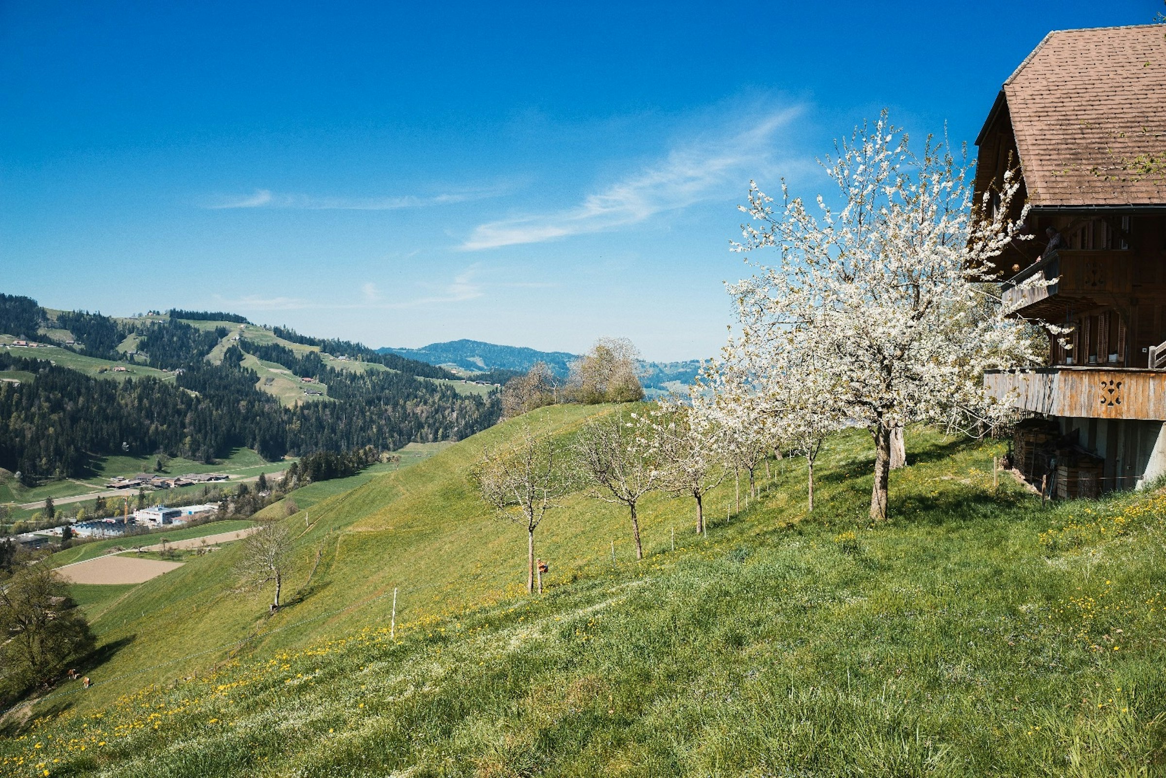 Bäregghöhe photo 3