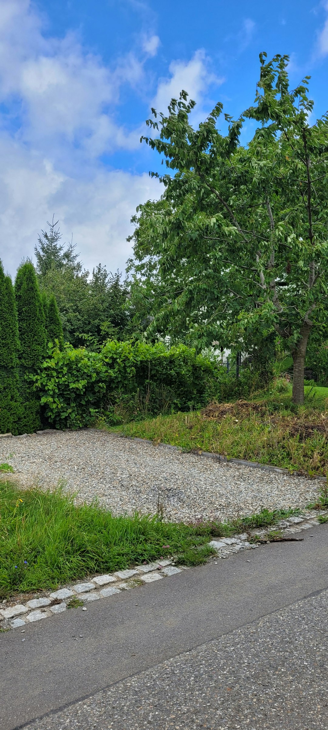 Stellplatz am Kirschbaum photo 5