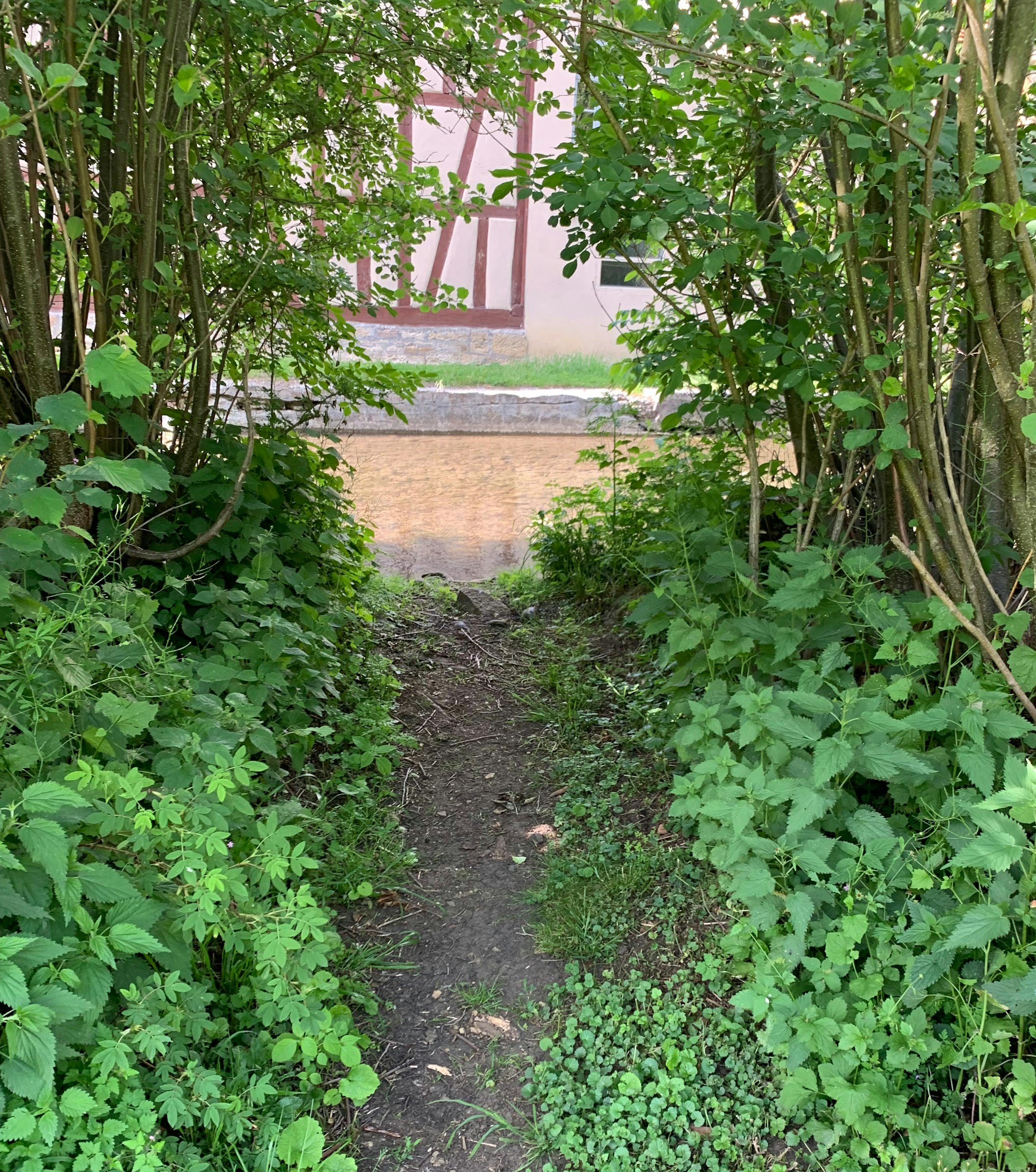 Natur pur, abschalten garantiert 🤩 photo 4