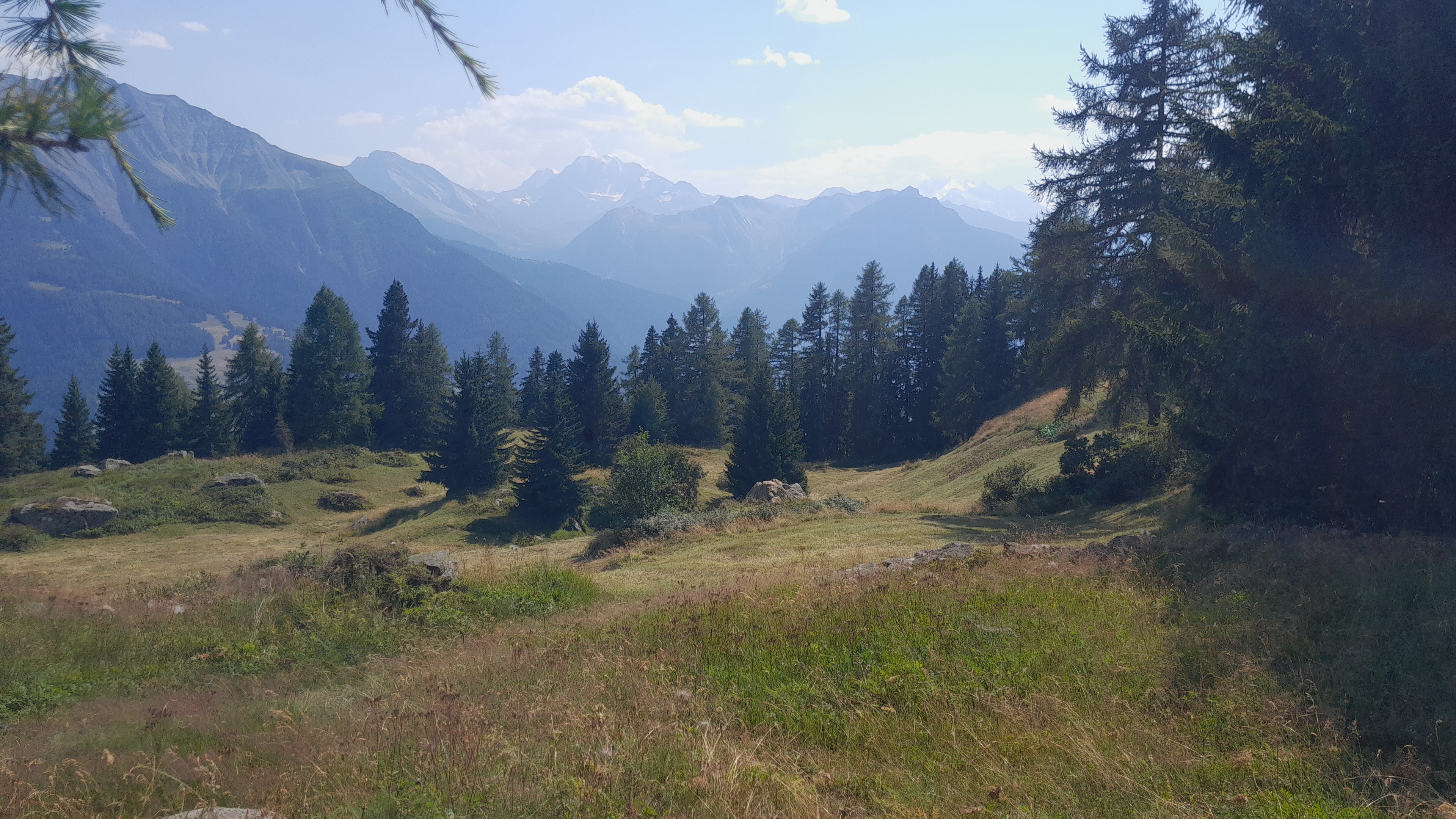 Zelten mit Sicht vom Goms bis auf den Simplon photo 5
