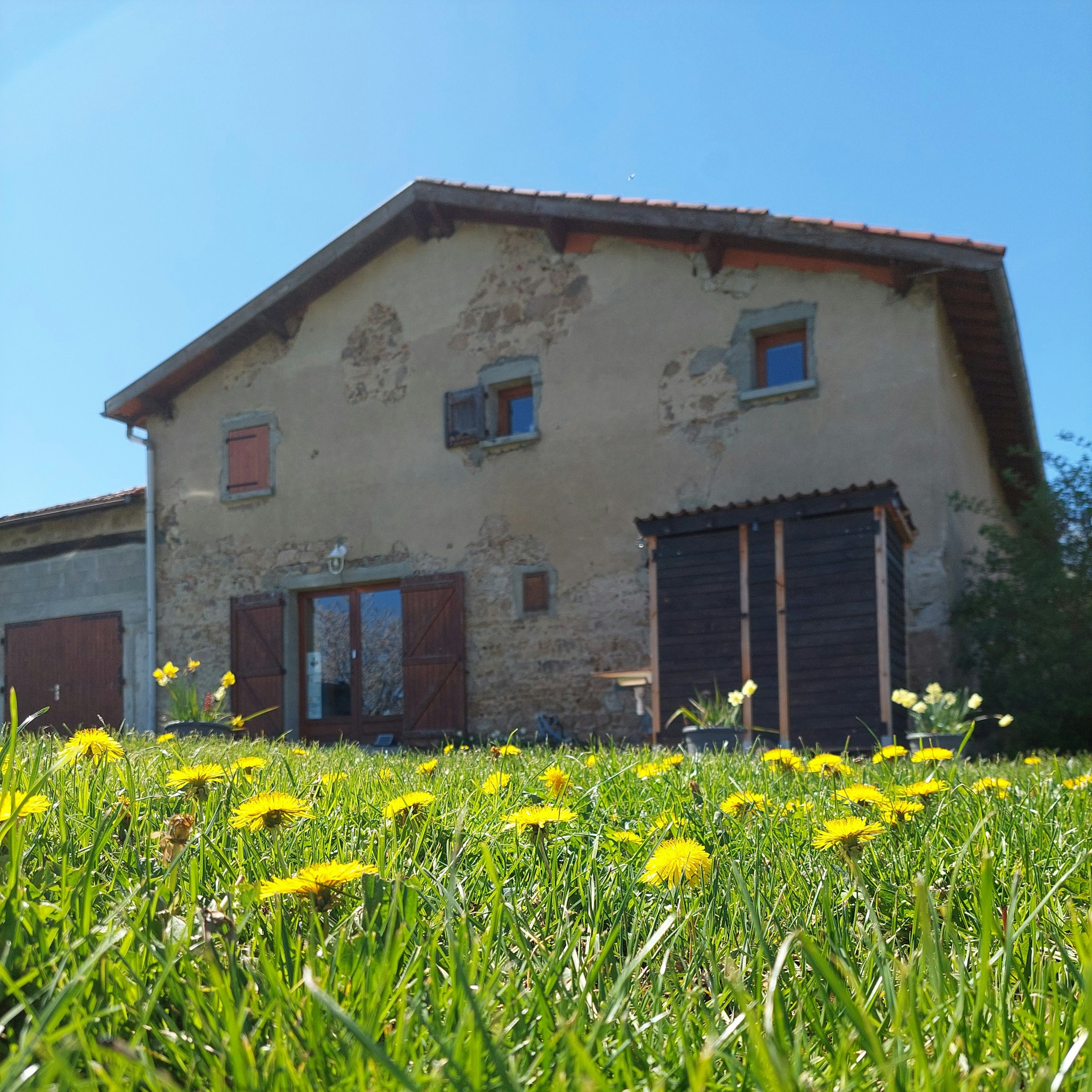 Au pied du bois d'Azole photo 5