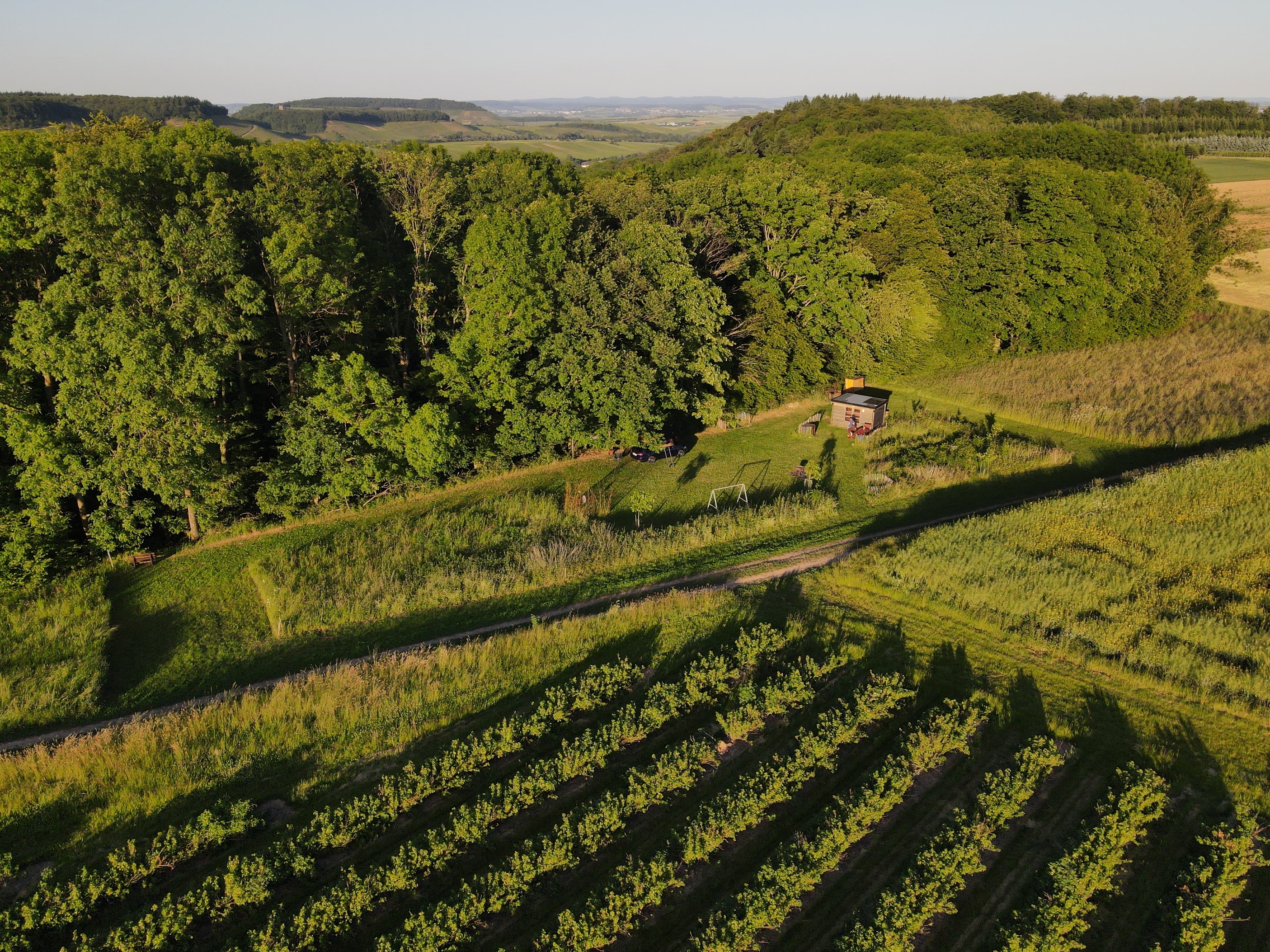 Schlafen am Waldrand photo 3