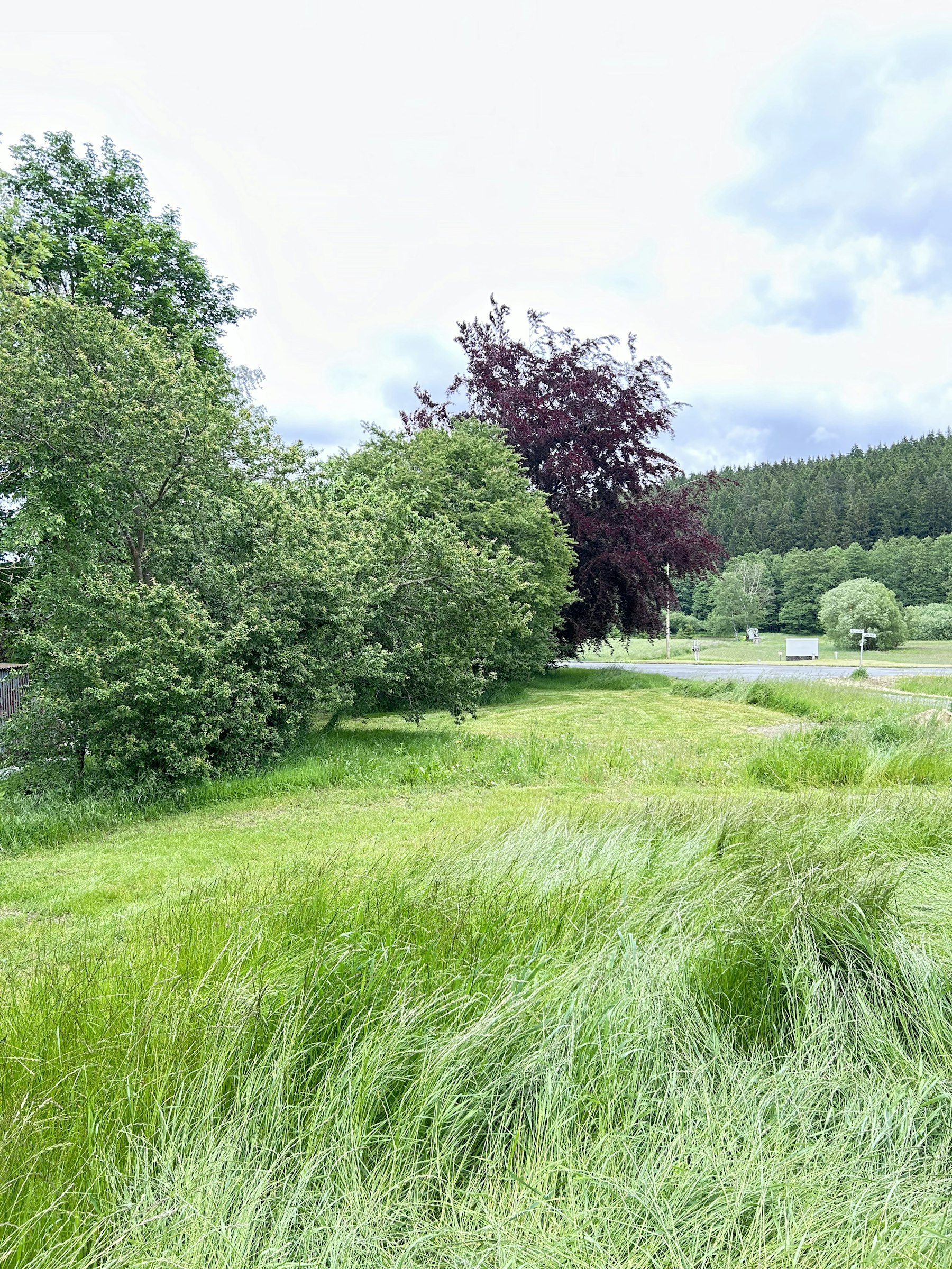 Idylle am Wachhügel photo 4