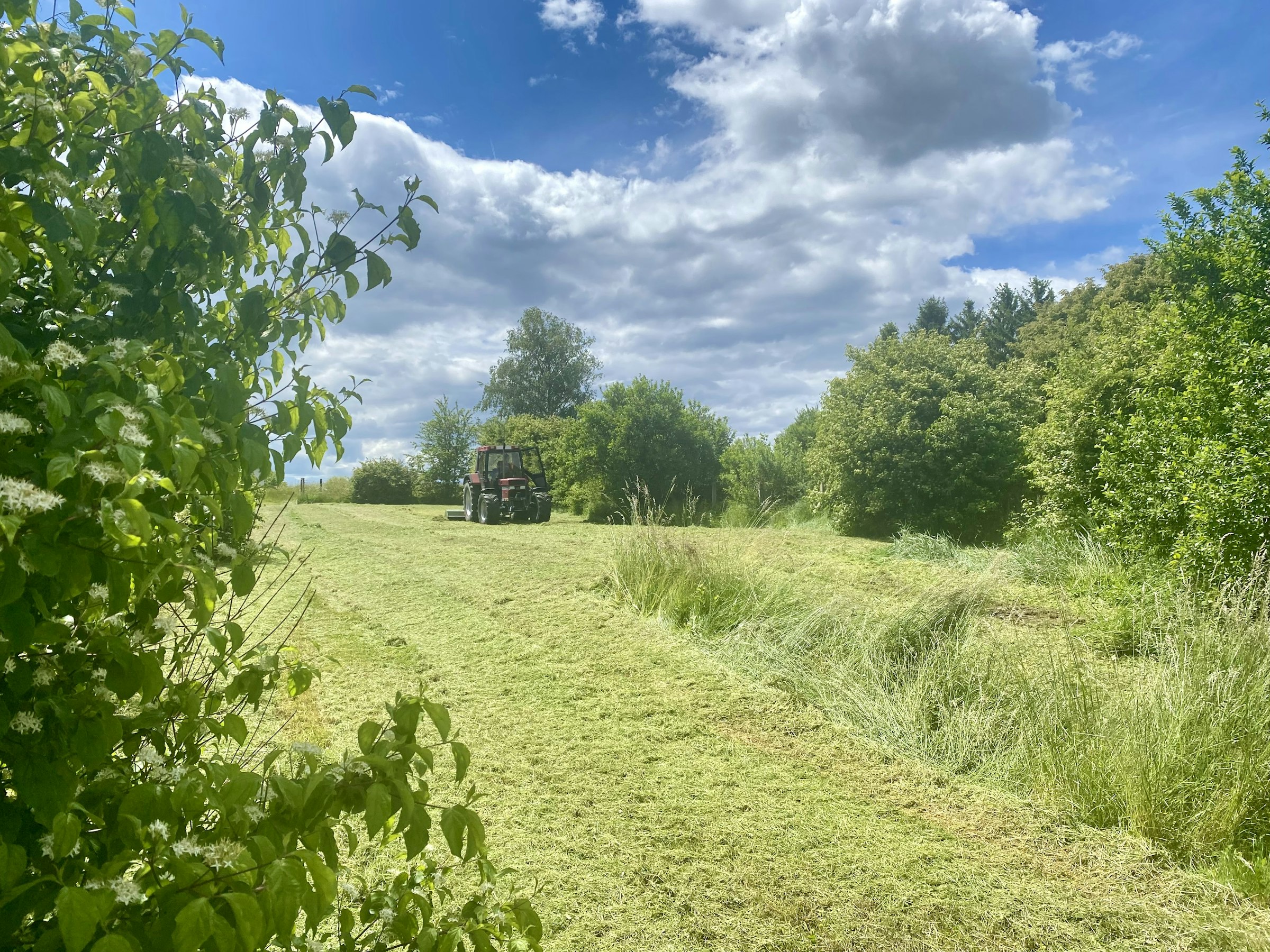 Erholung im Uhudlerland photo 5