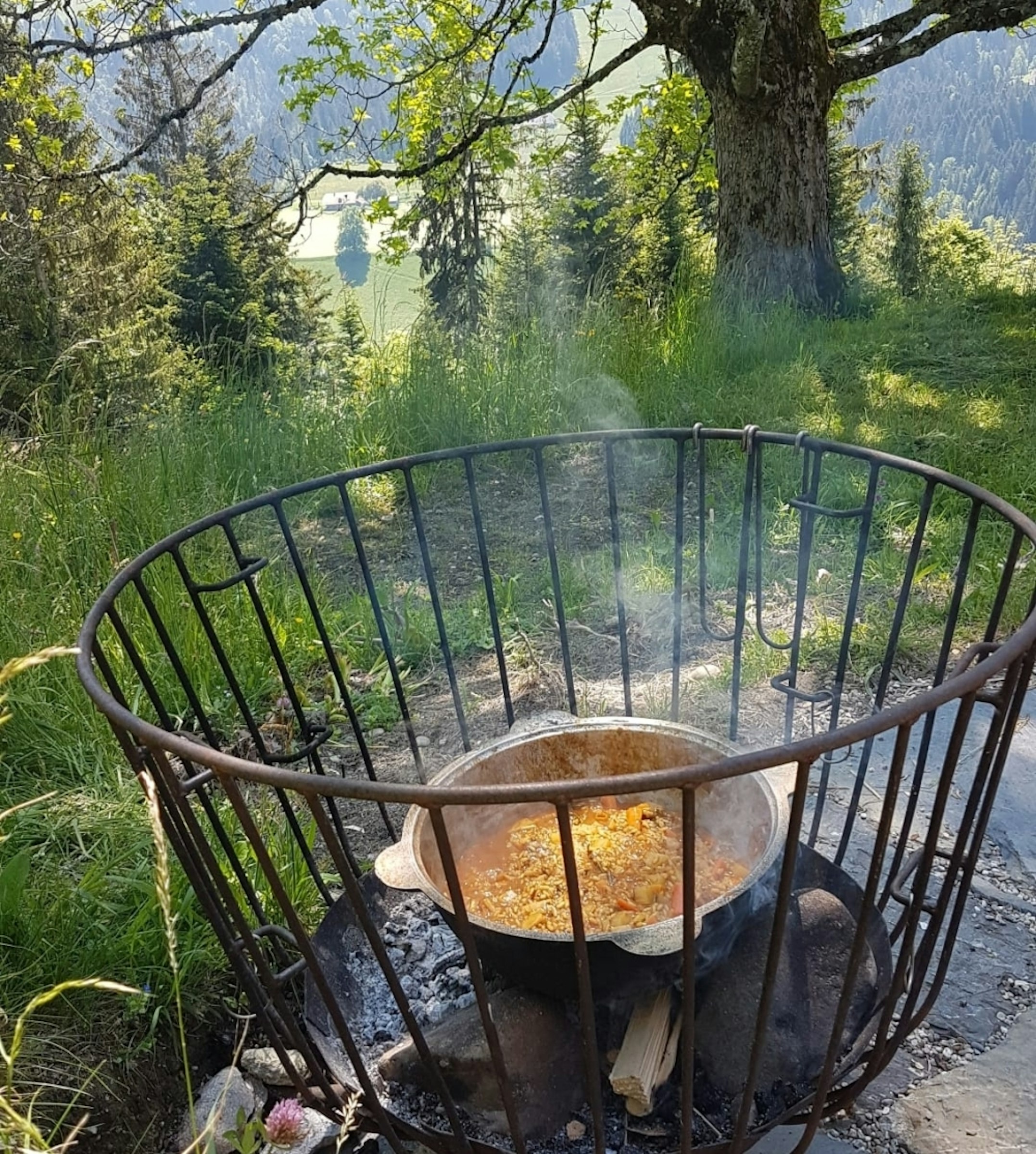 Bäregghöhe photo 5