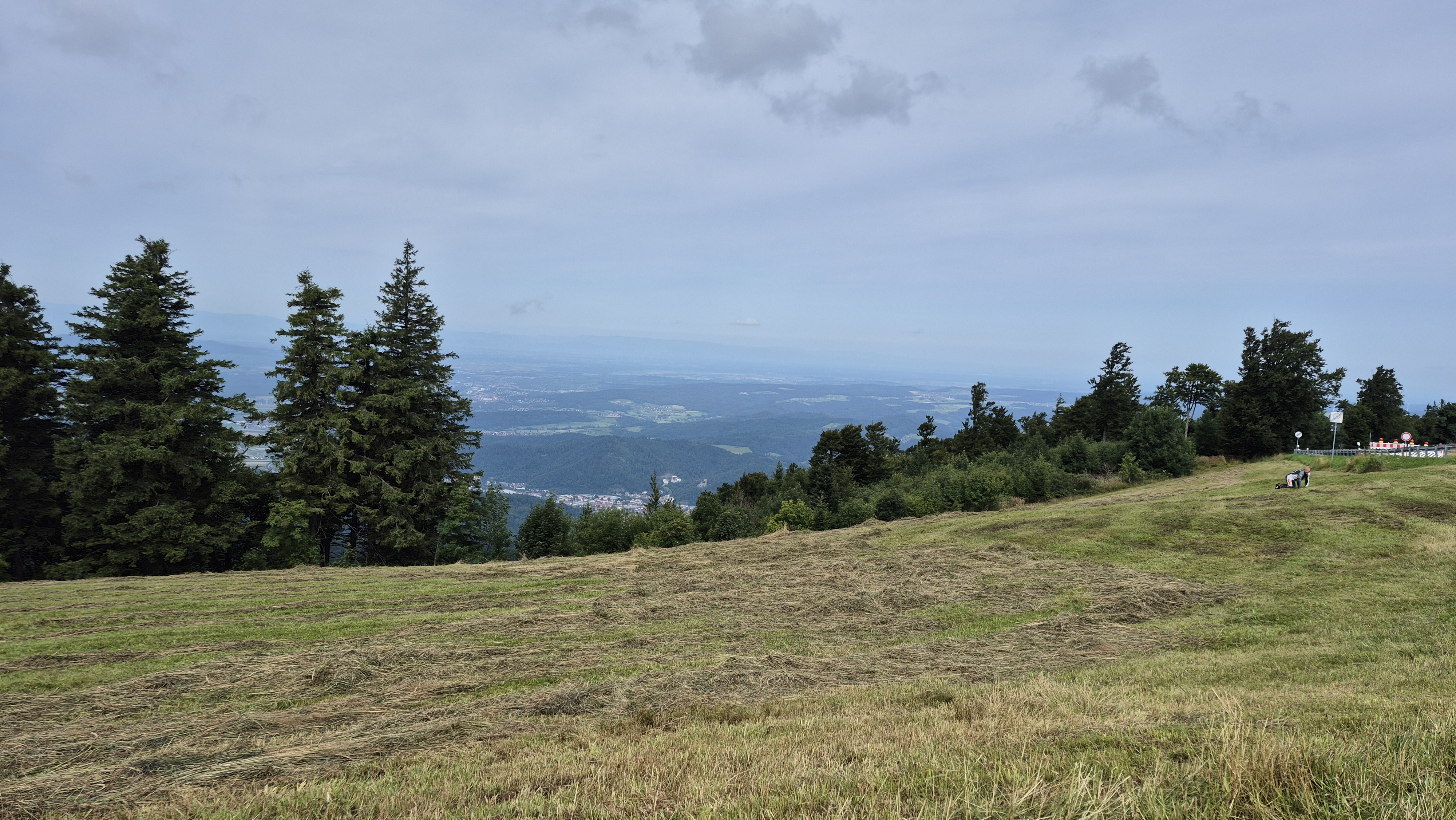 Möhrenblick photo 4