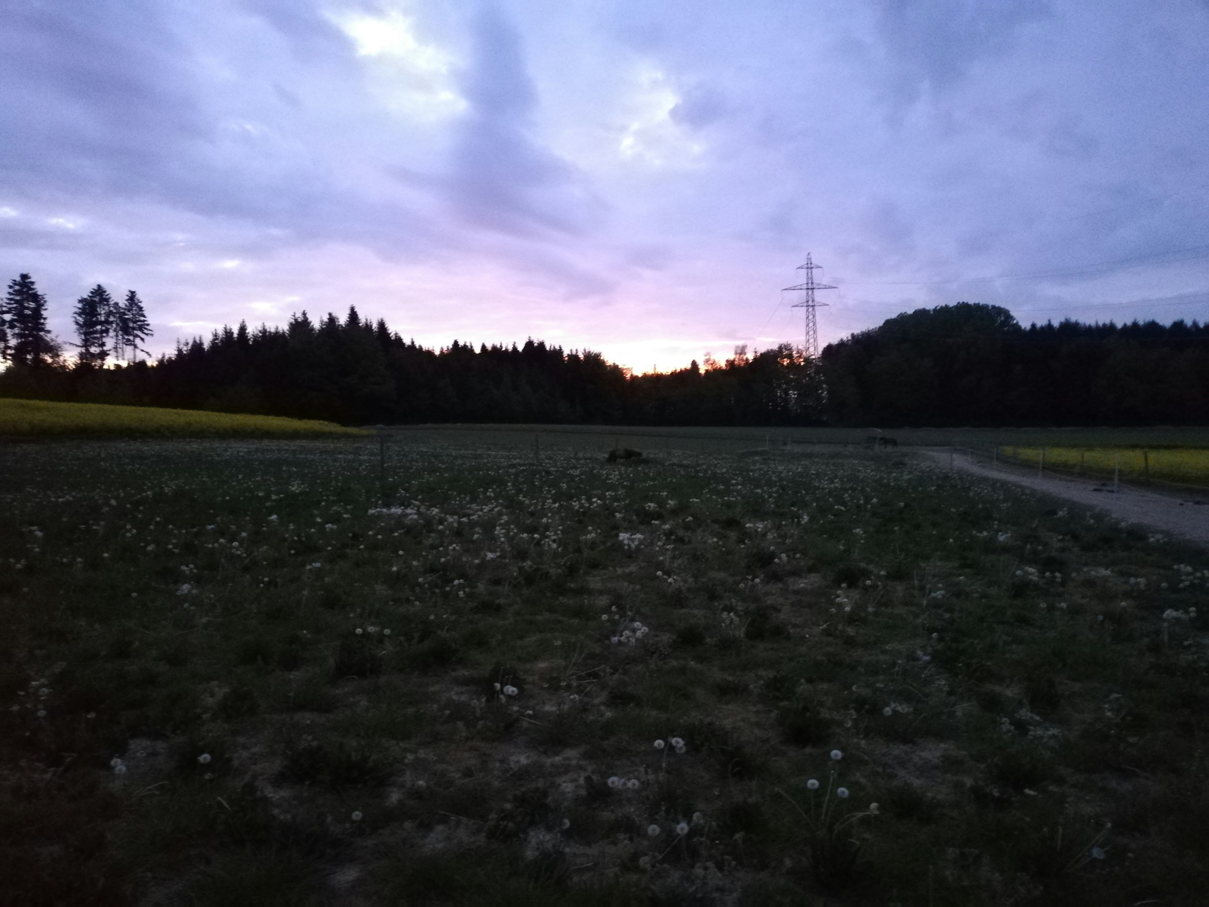 Camp Hintermatt - Photo 3