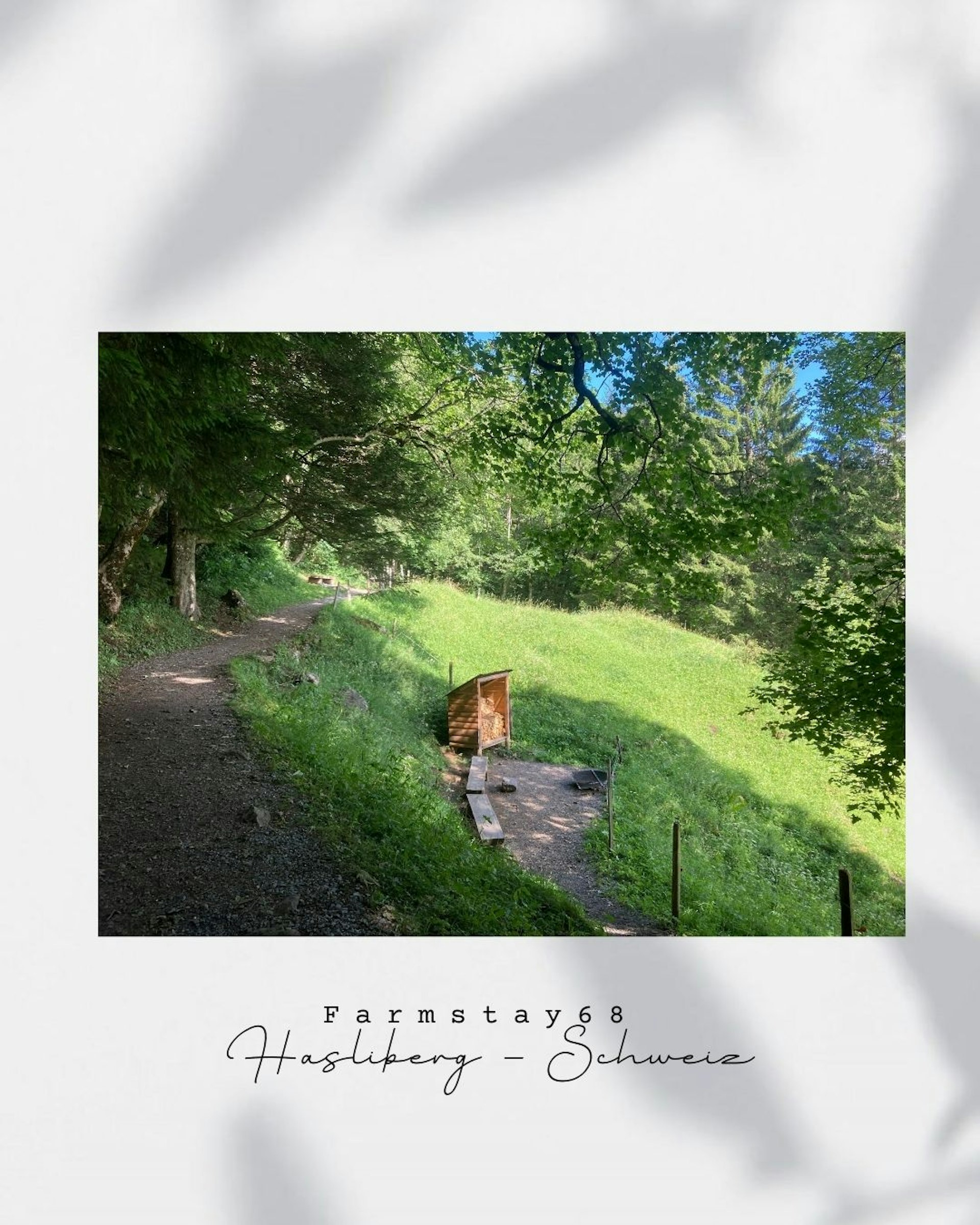 Weidhaus Oberwald photo 5