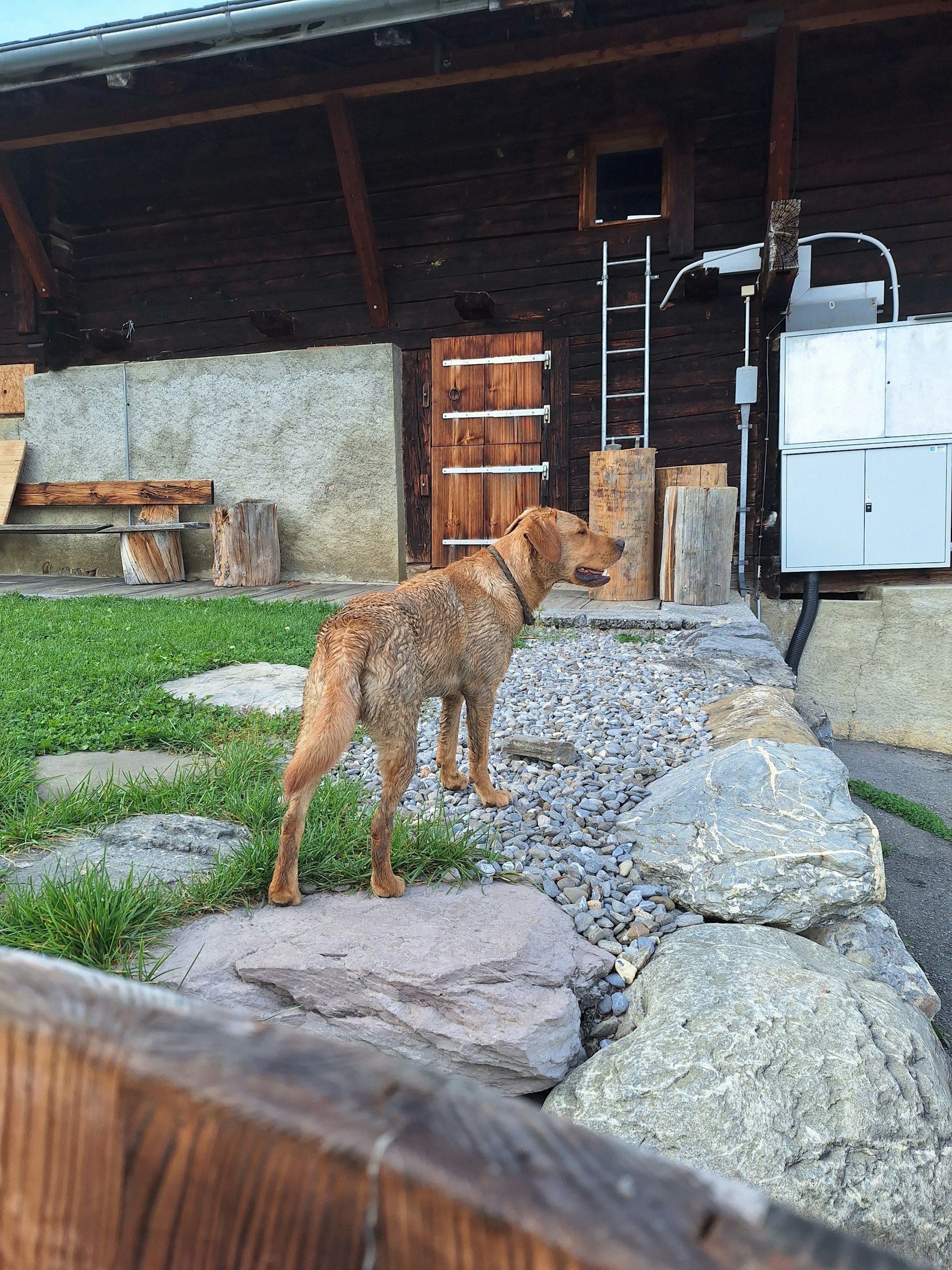 Ritz Camp - Berge im Blick photo 2