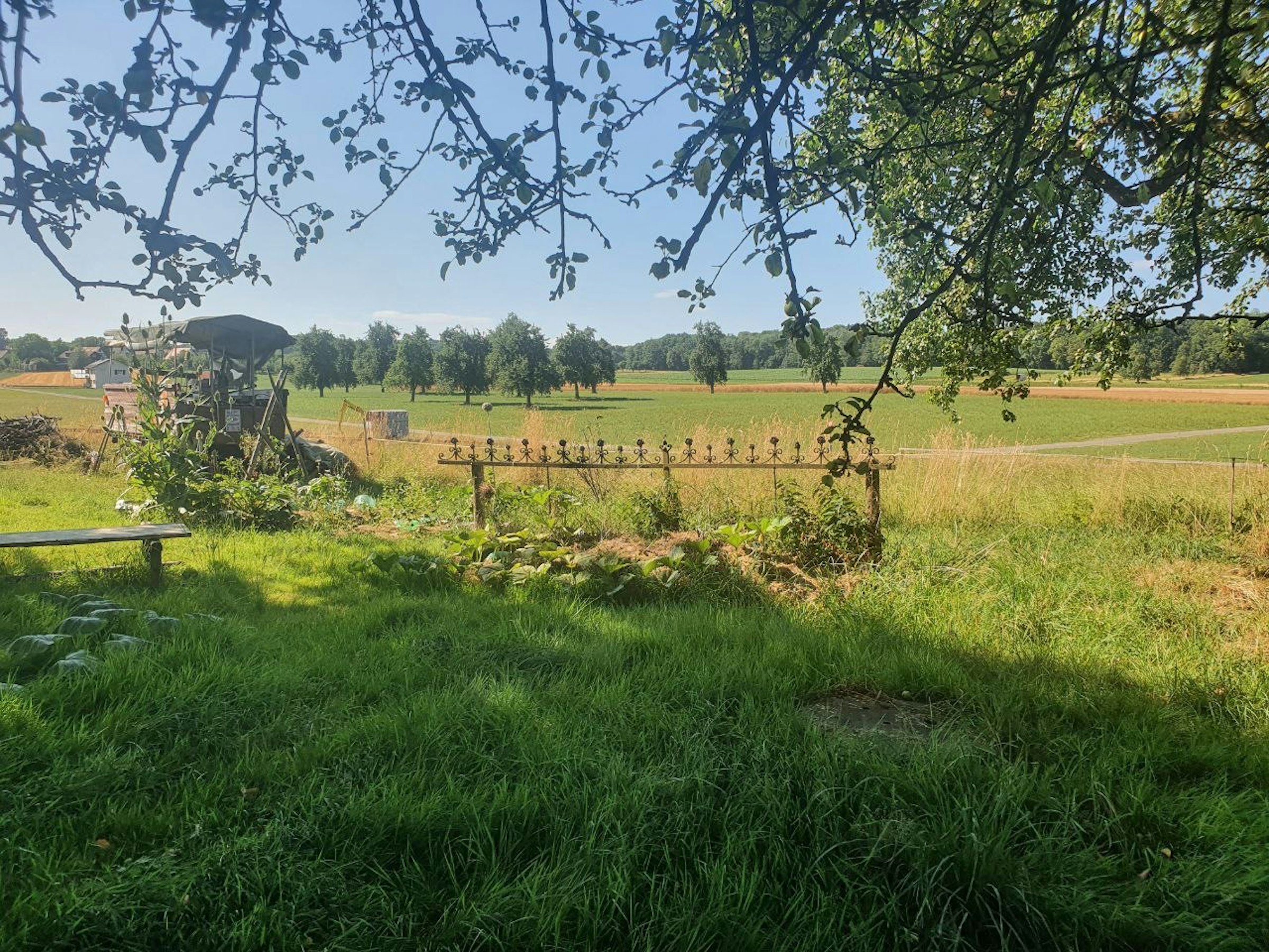 Augenweide photo 2