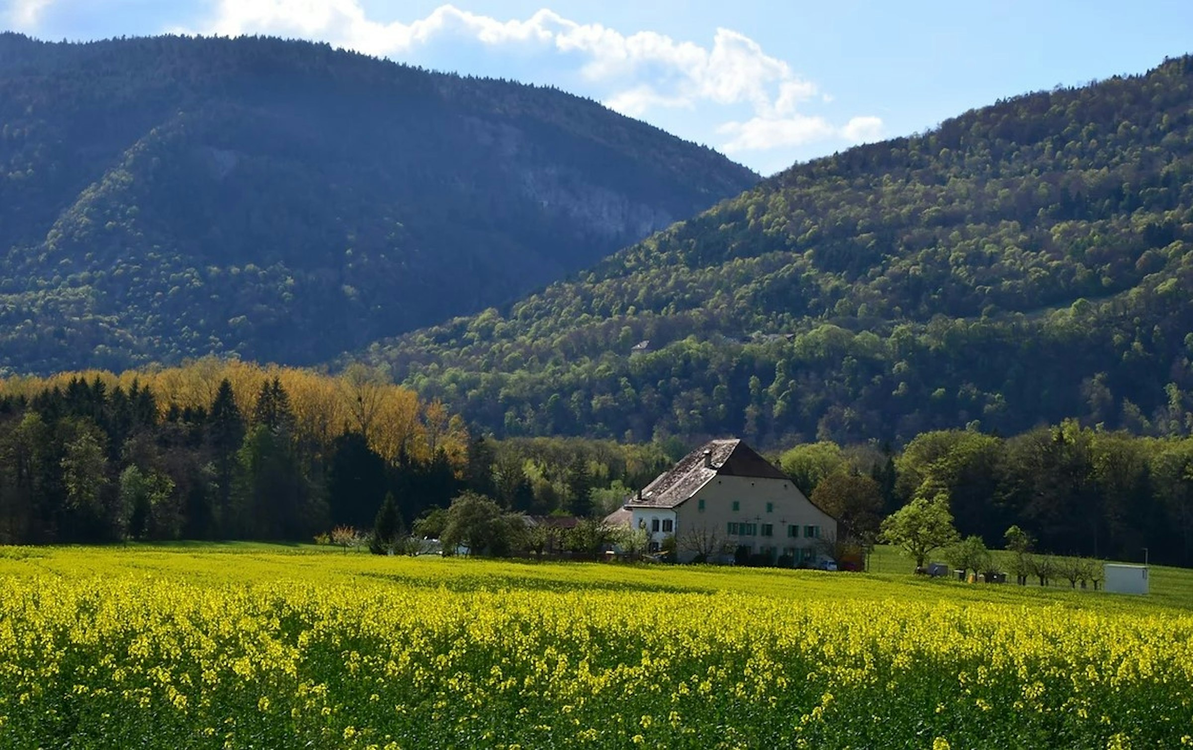 Natur-Camping "Ferme Bois du Fey" photo 3