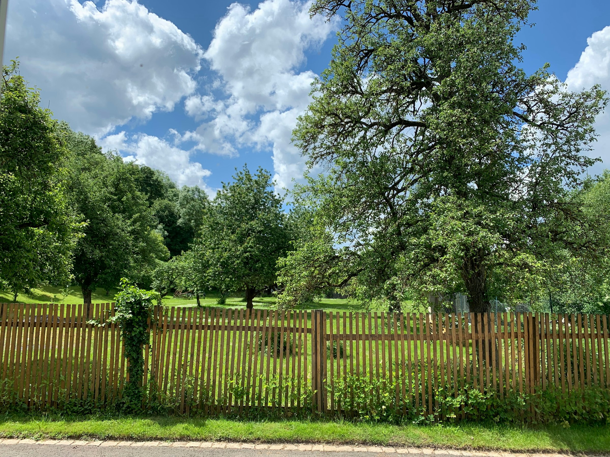 Natur pur, abschalten garantiert 🤩 photo 2