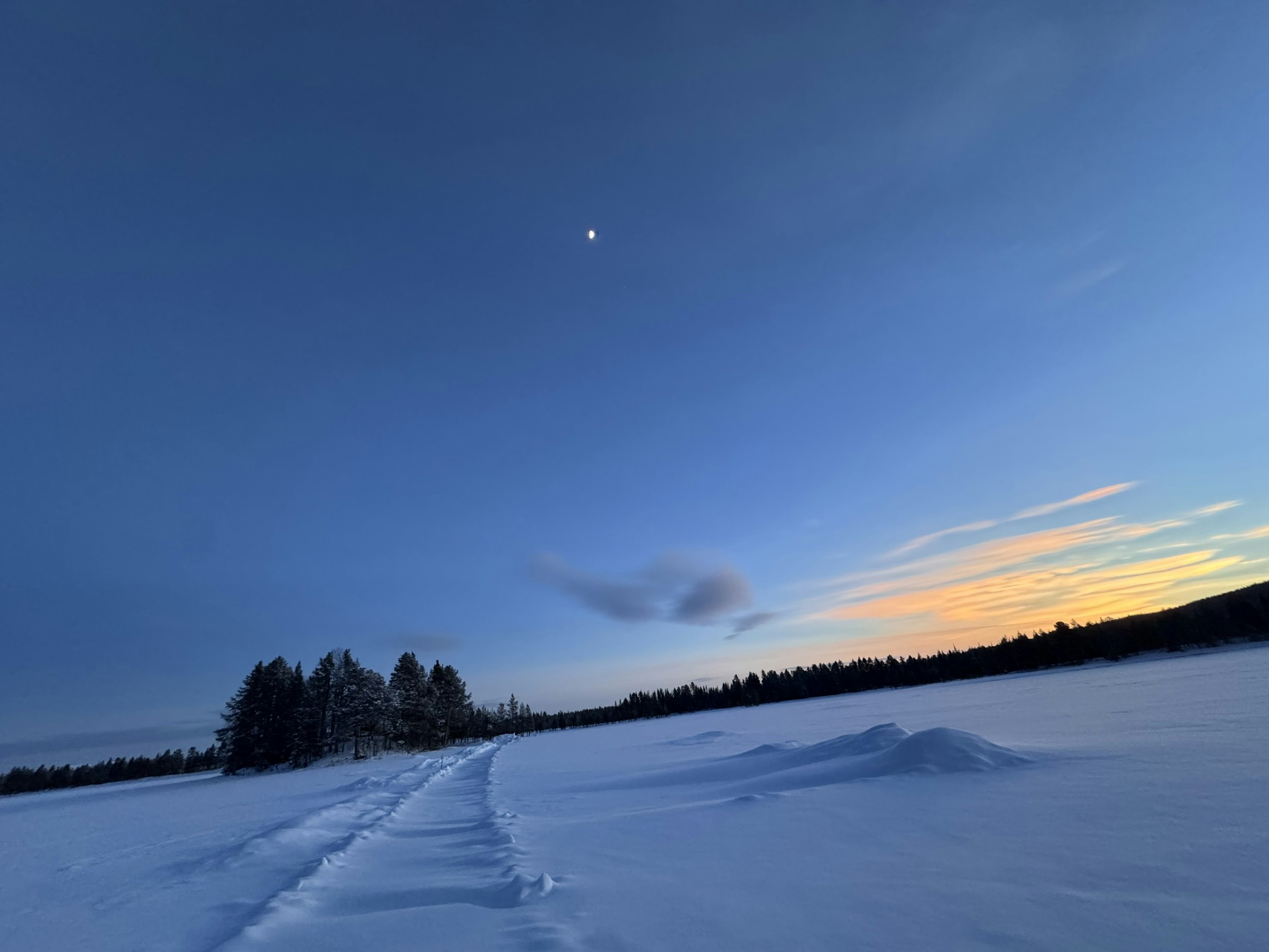Alleinlage, Waldrand mit Badestelle photo 5