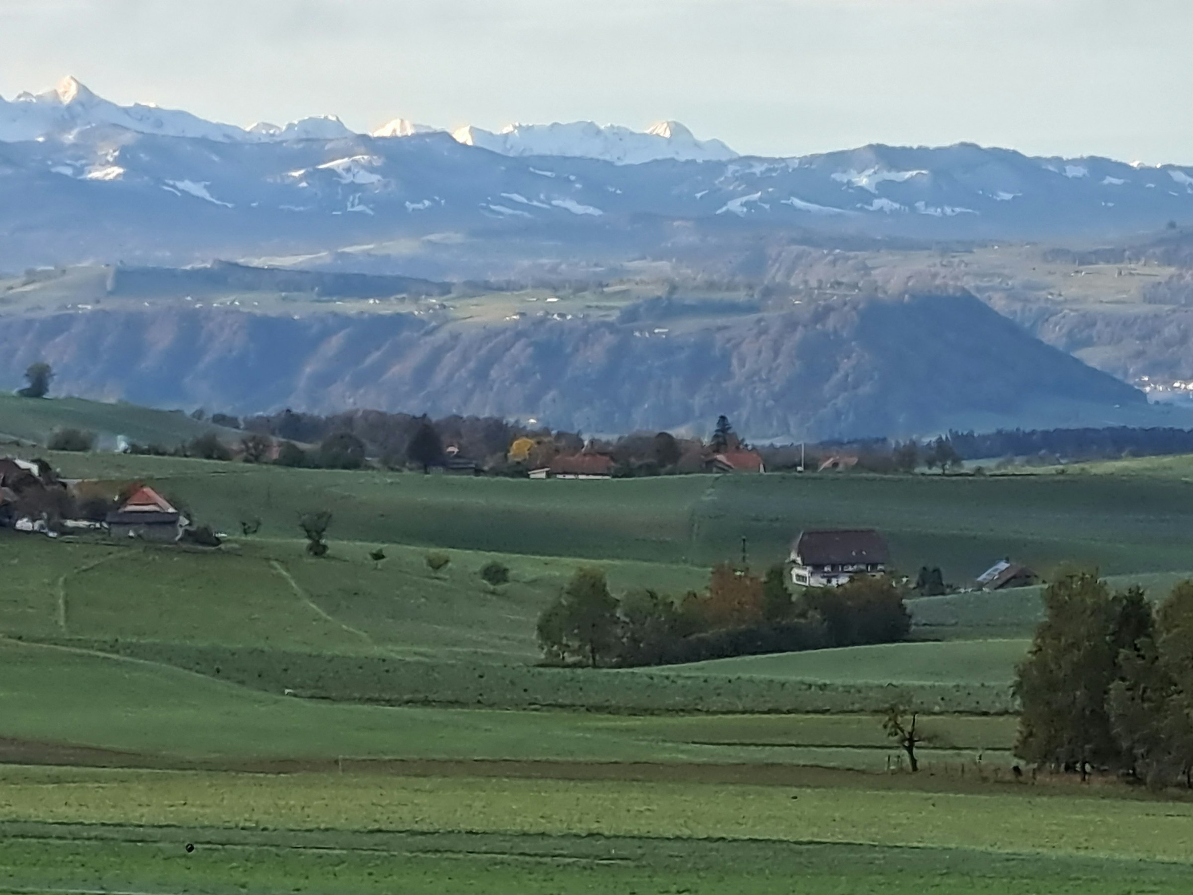 Naturwellness pur