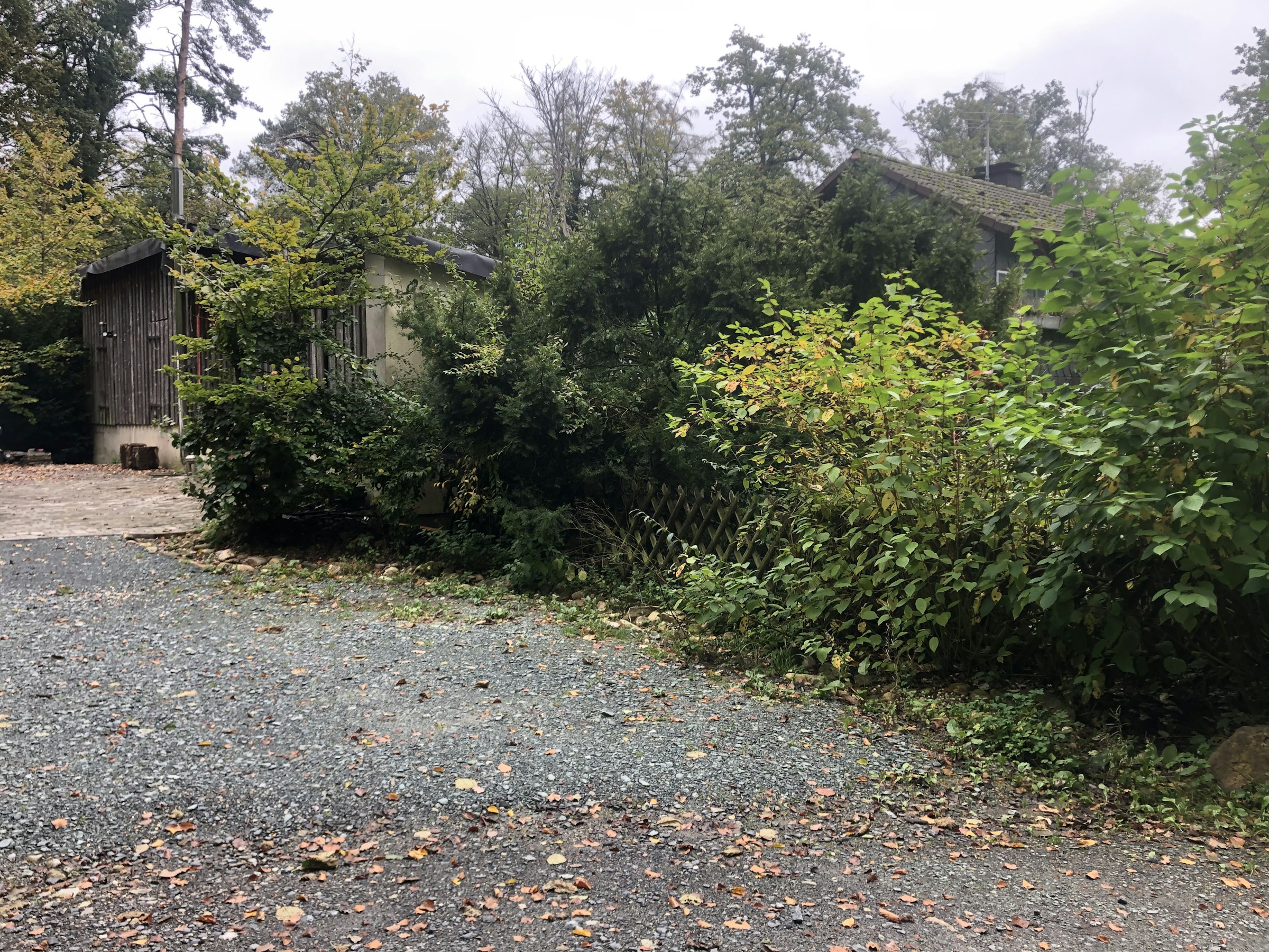 Haus Quelle Hinterhof im Taunuswald photo 3