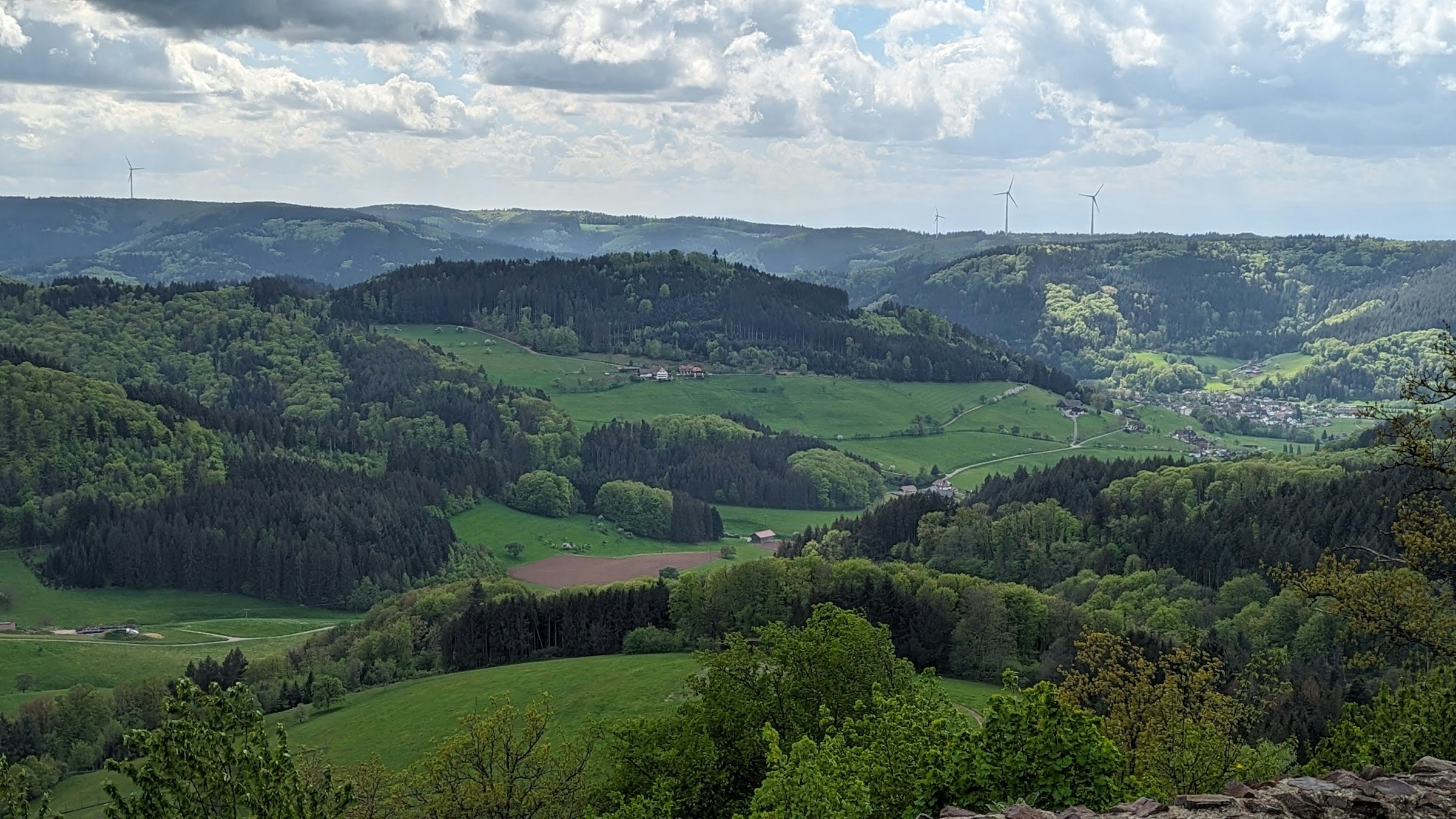 Schwarzwaldtannen mit Panormablick photo 4