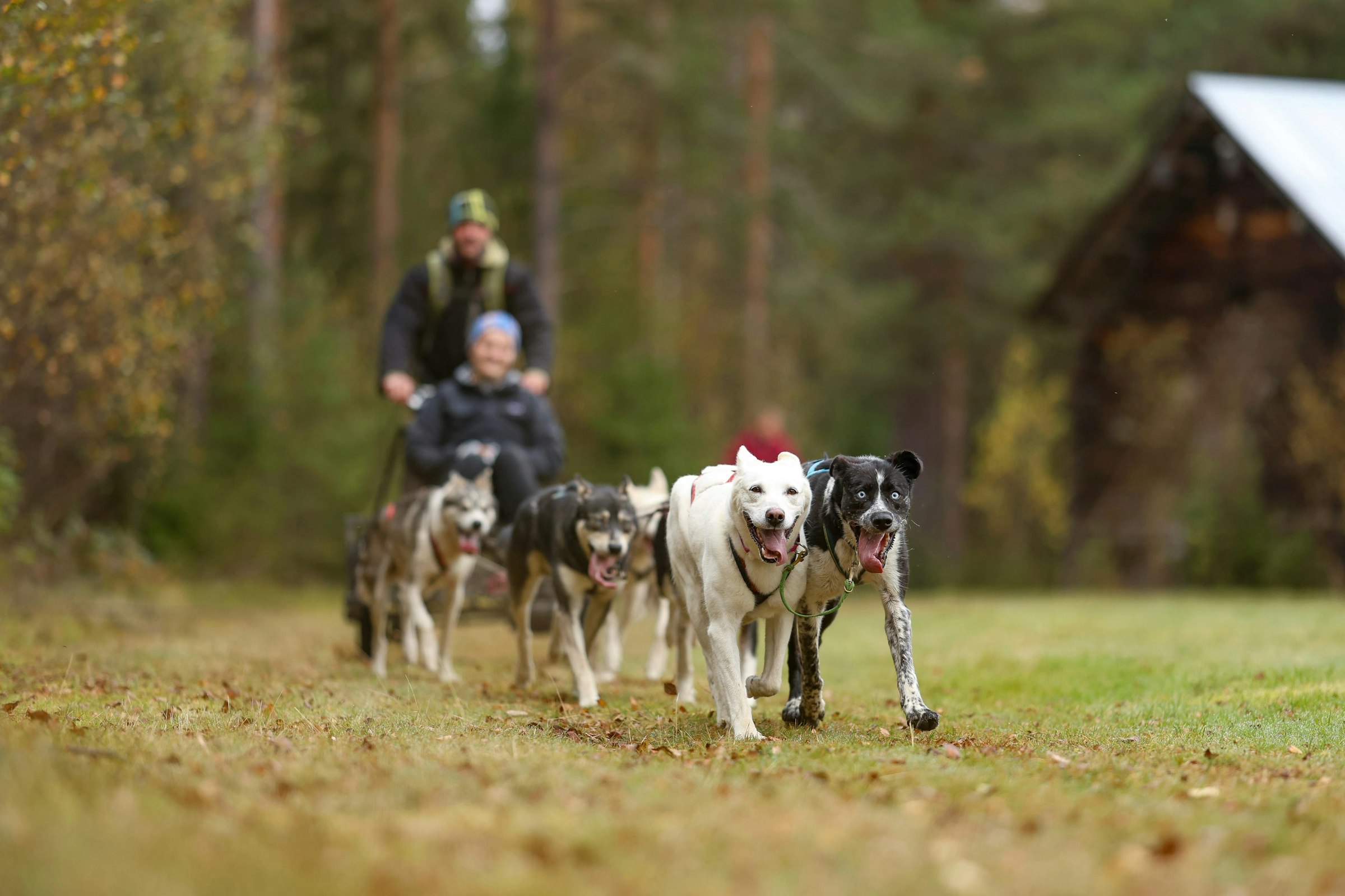 Campingtraum bei Lapland Adventures photo 4