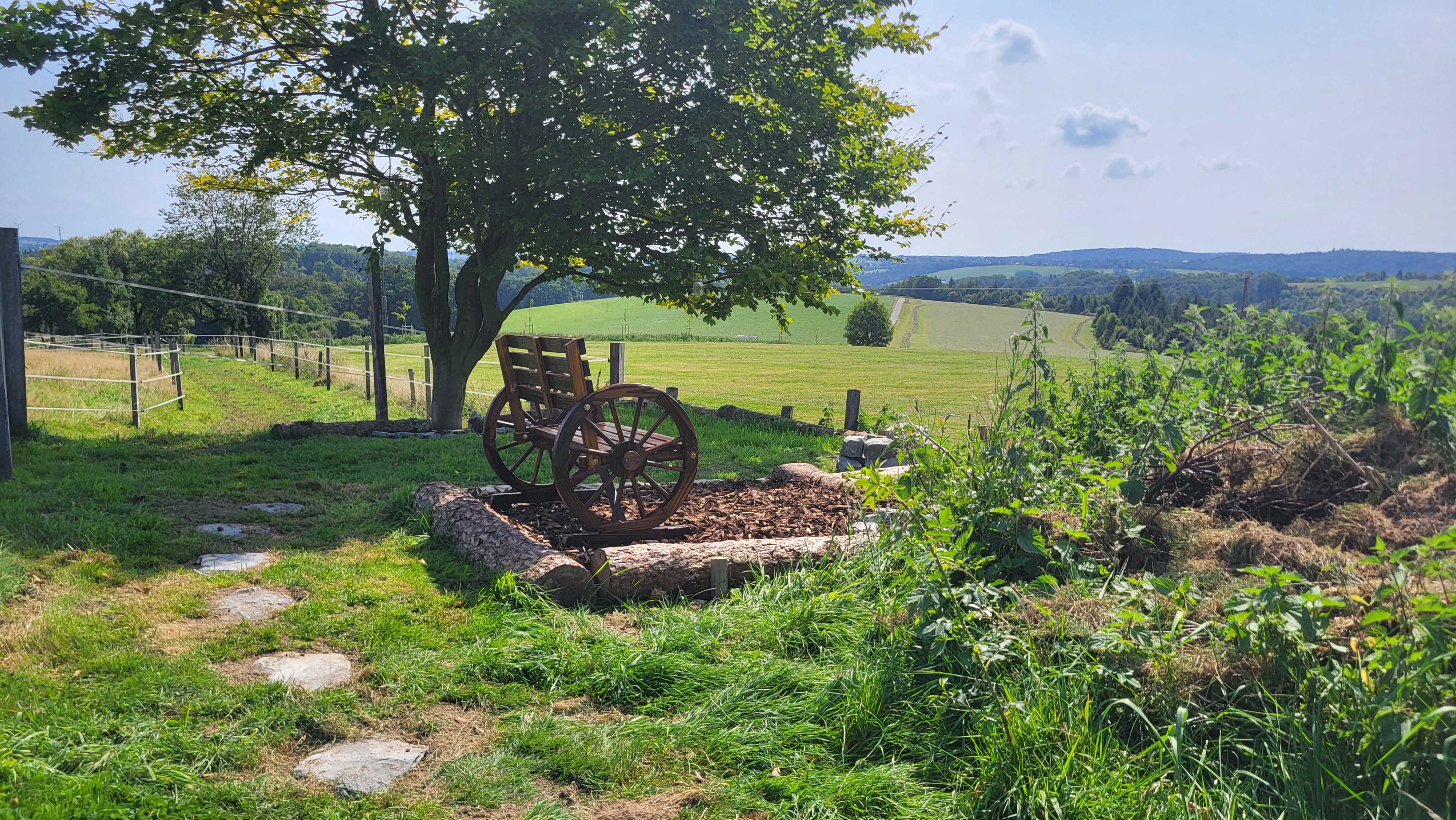 Zur einsamen Buche photo 2