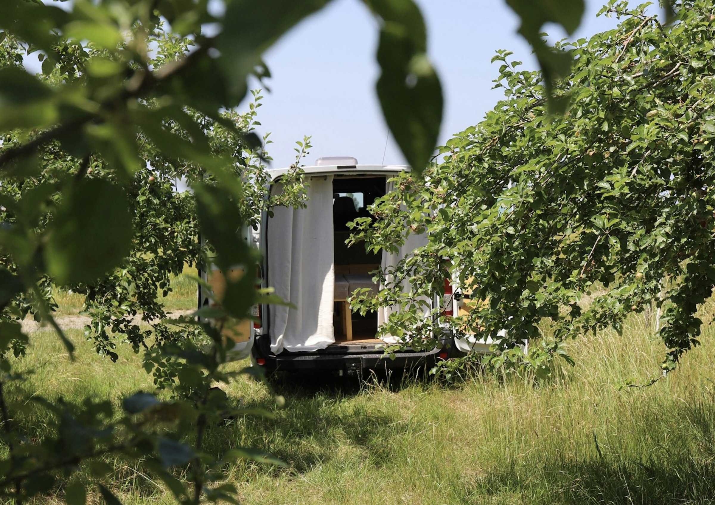Wilde Ruhe auf naturnaher Obstwiese photo 5