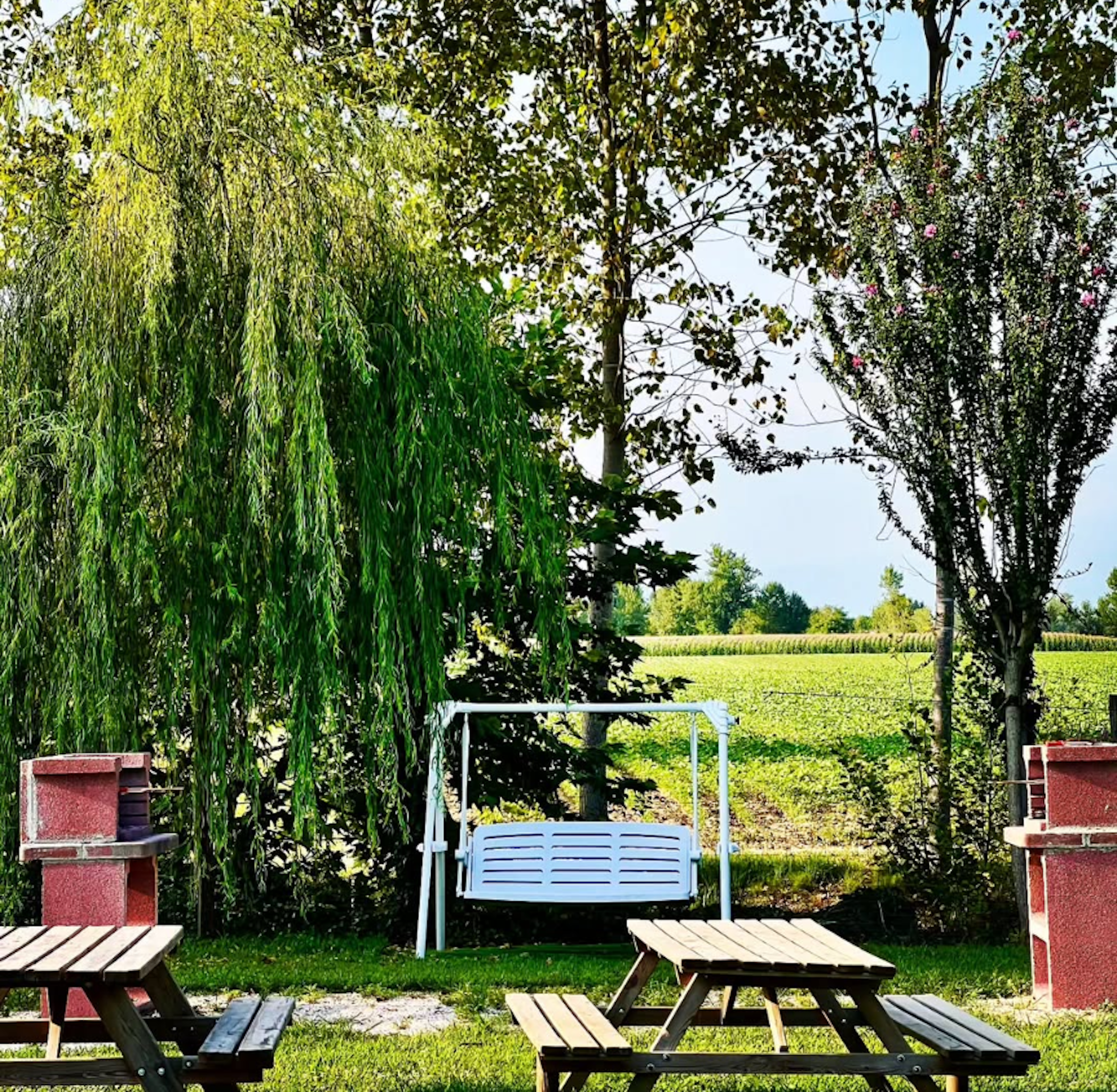 Agricampeggio Pini in Fiore photo 2