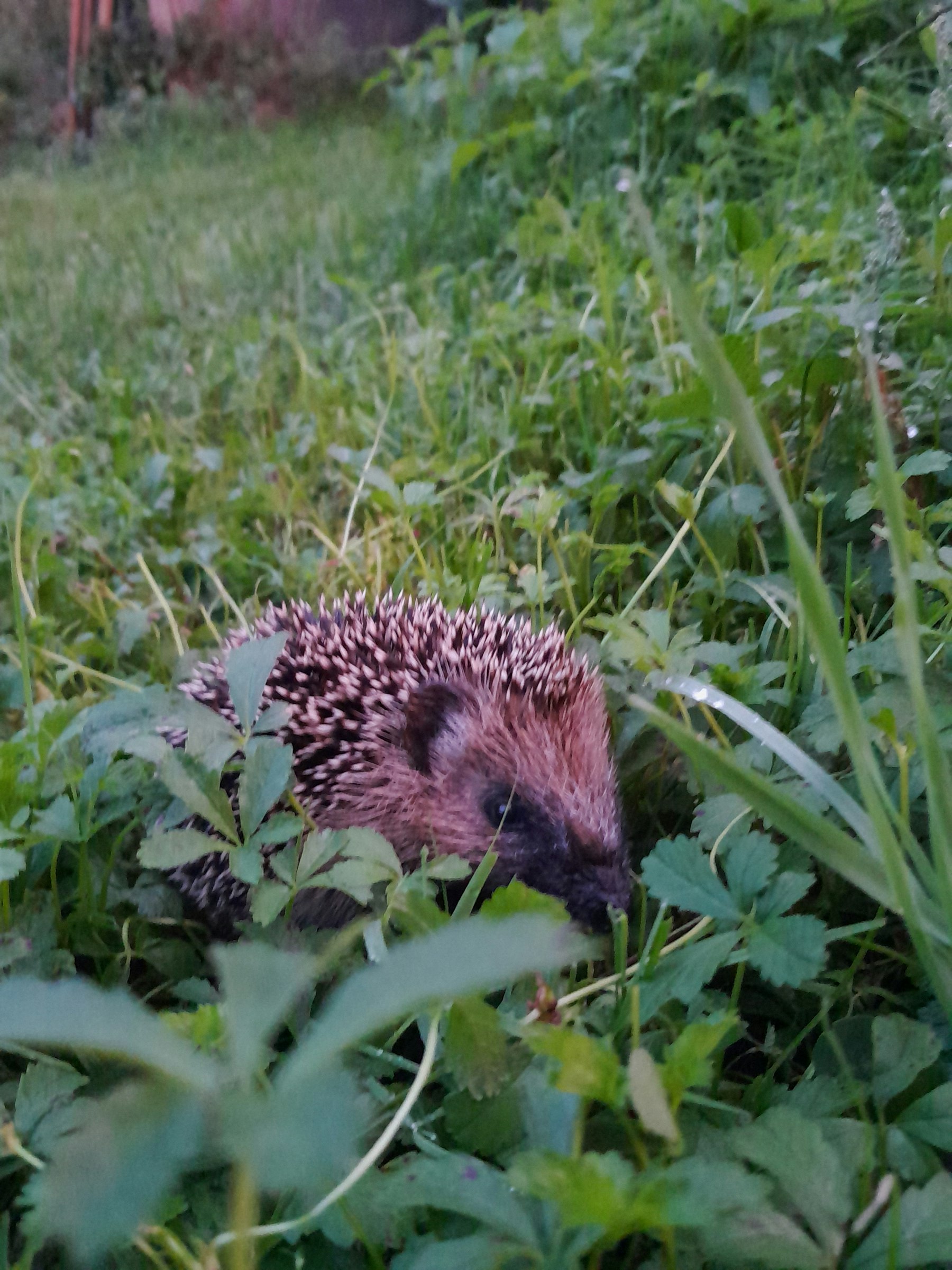 Zelten mit Aussicht photo 2