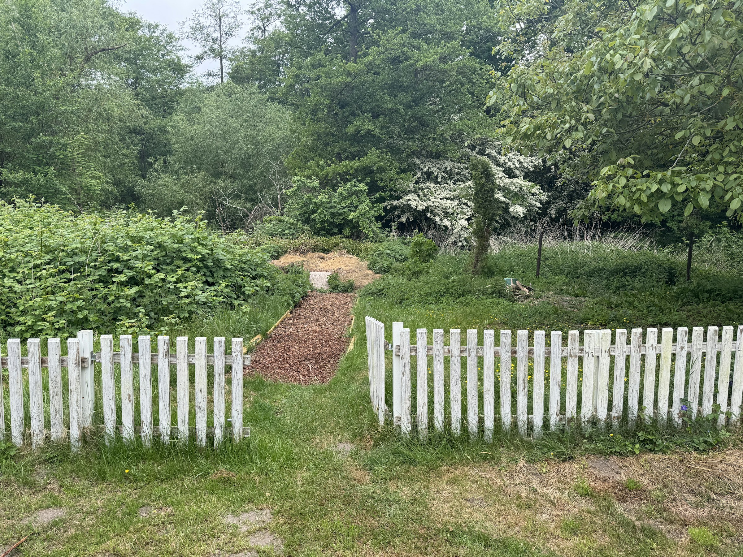 Garten auf dem Gnitz/Usedom photo 4