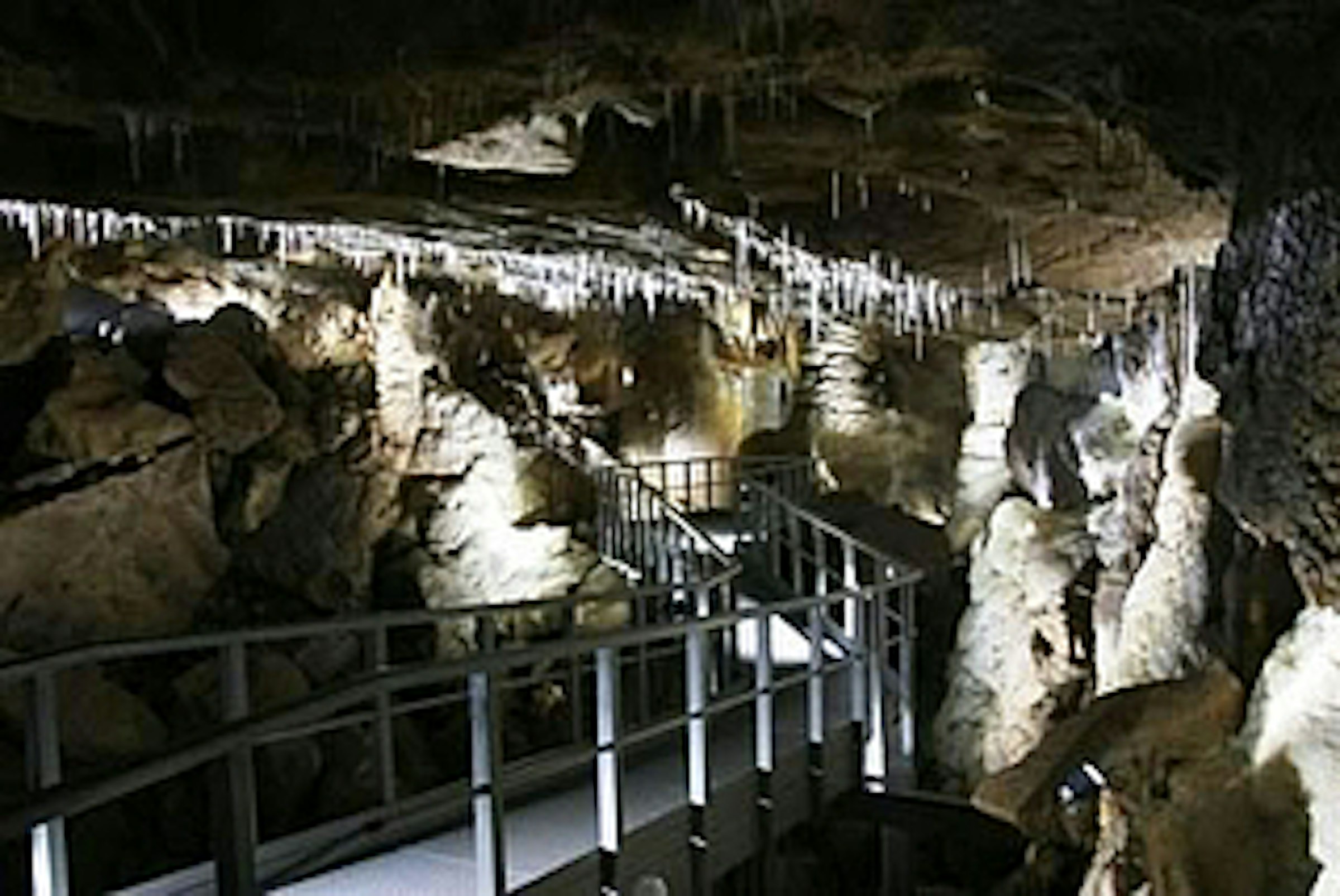 Stellplatz an Wanderroute und Höhle photo 5