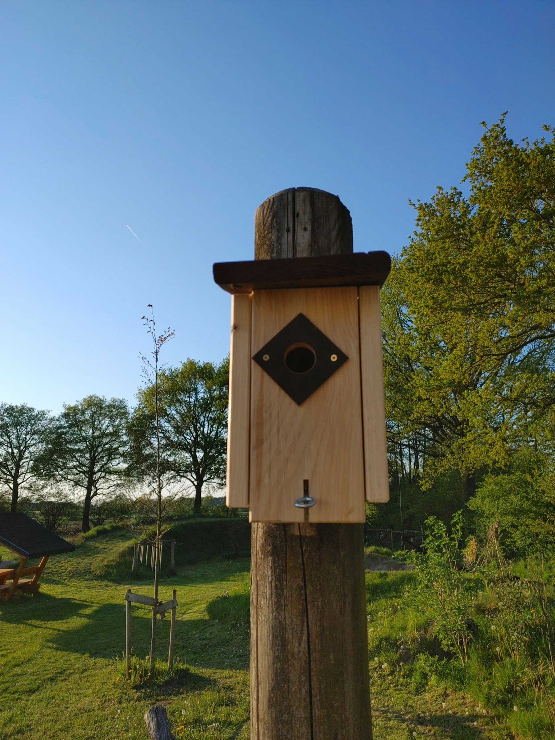 Auszeit im Wichtelgarten photo 4