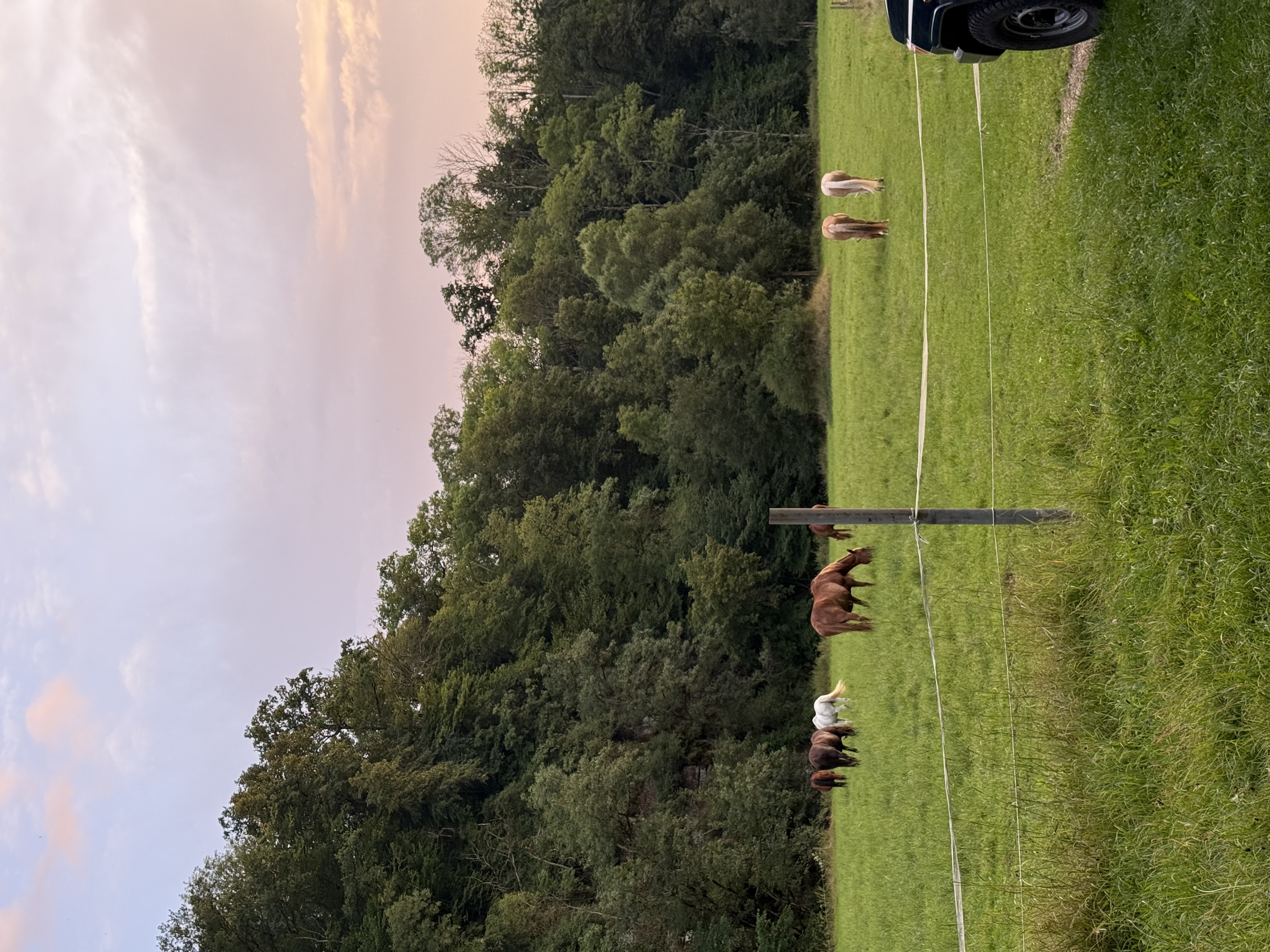 Idyllische Wiese an der Bühler photo 3