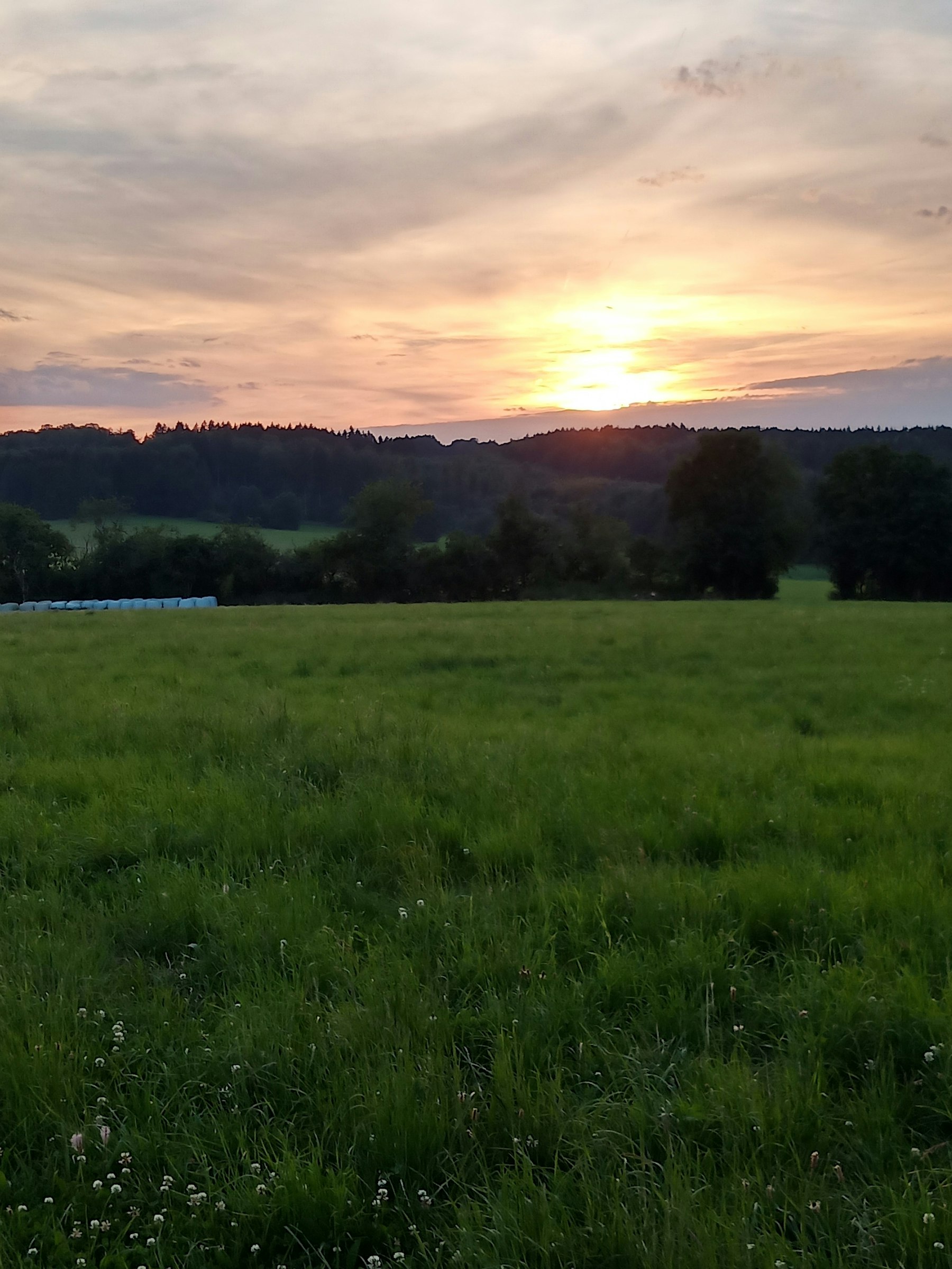 Wiese mit Aussicht und viel Ruhe photo 4