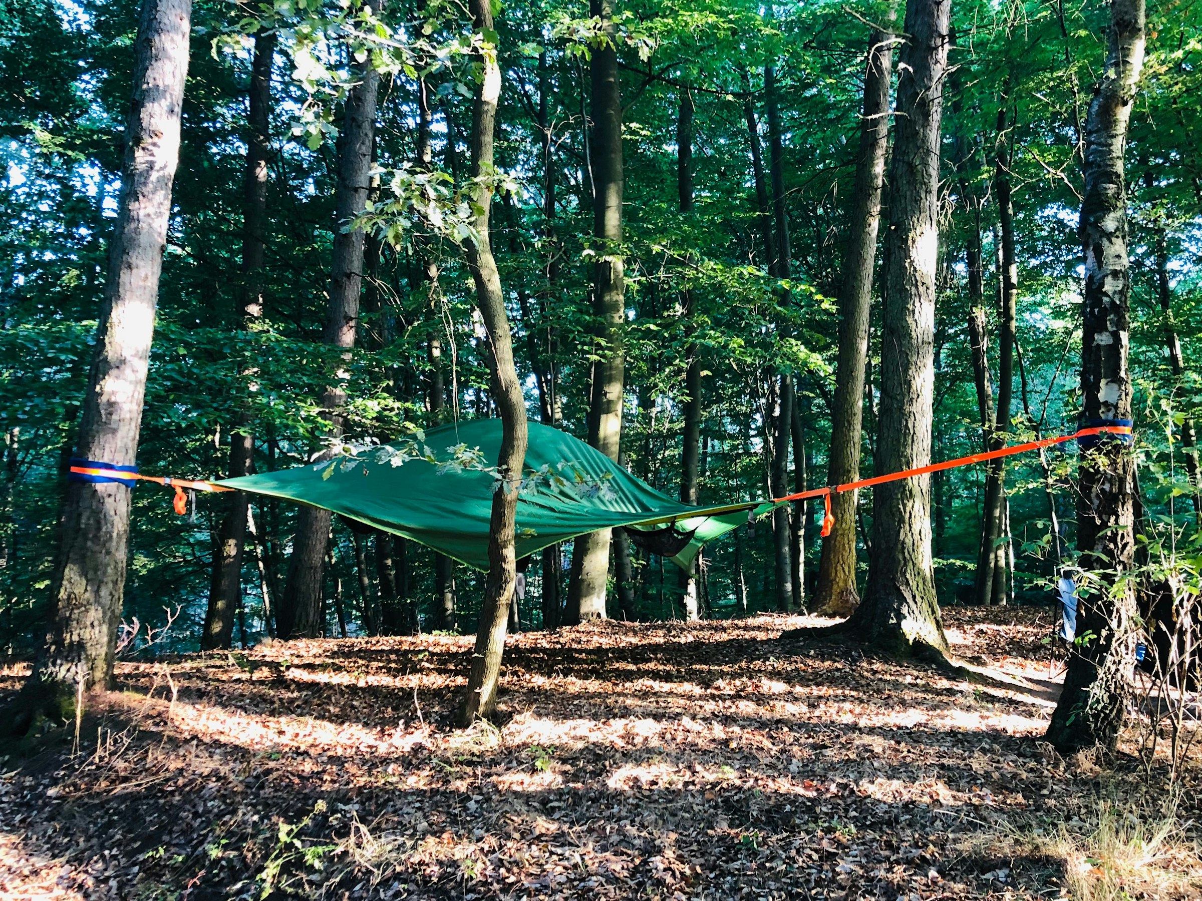 Schweben im Buchengrün photo 4