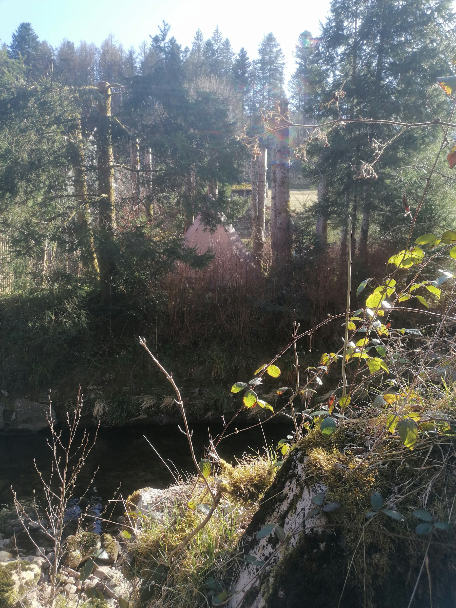 Tipi direkt a.Bach und Nationalpark photo 4