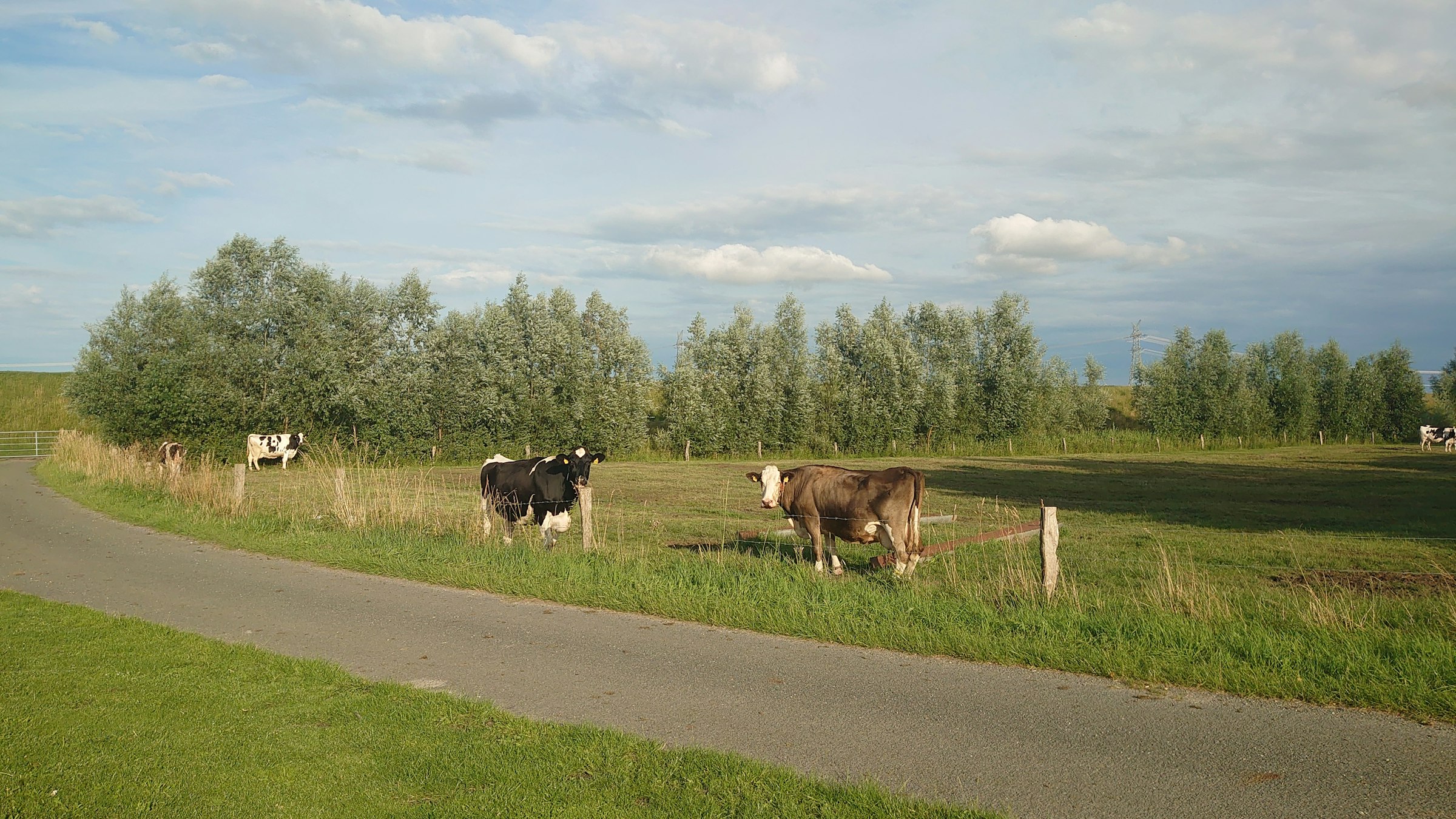 Eiderblick 1 photo 4