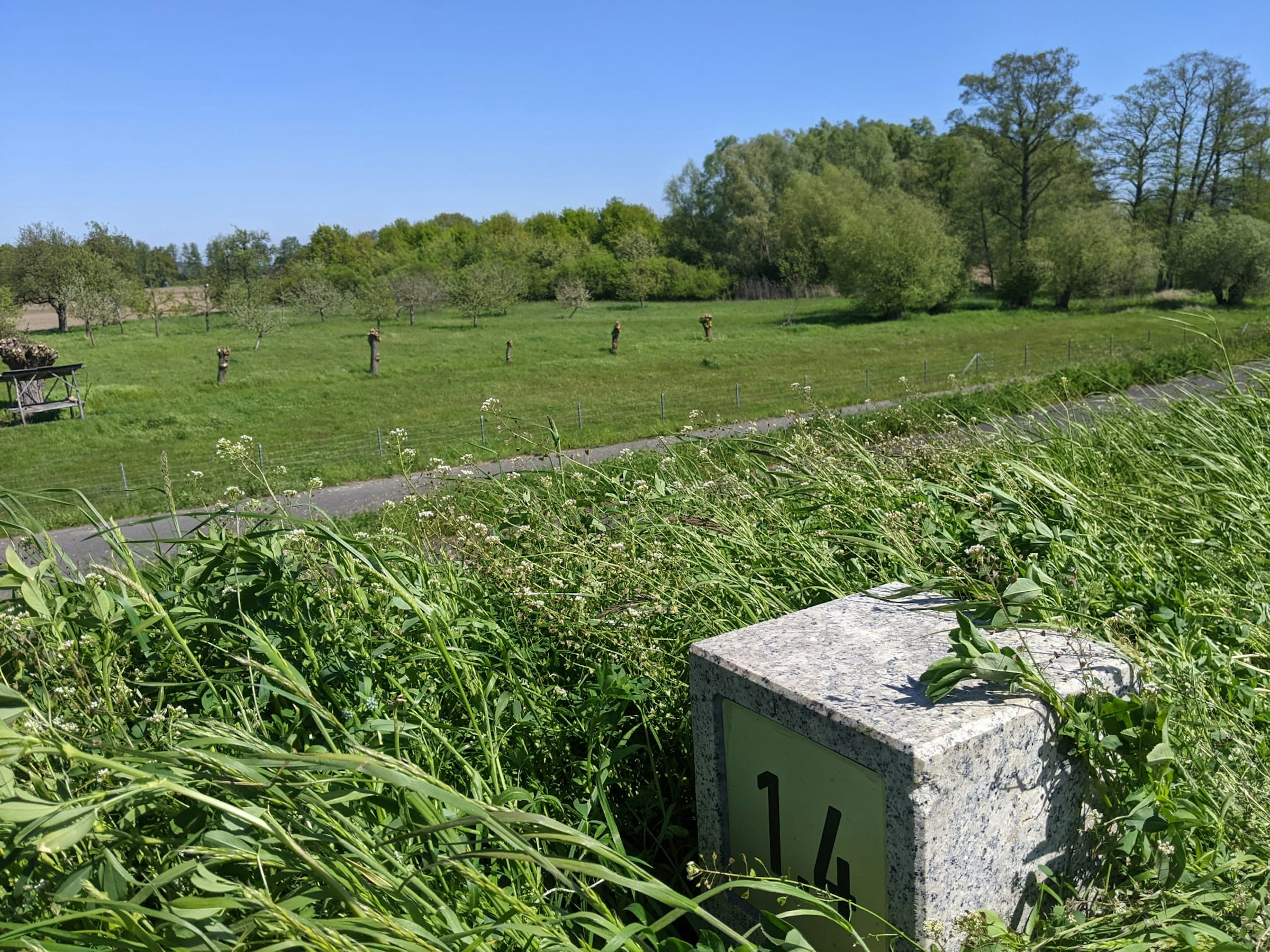 Obstwiese in Alleinlage an der Oder photo 4