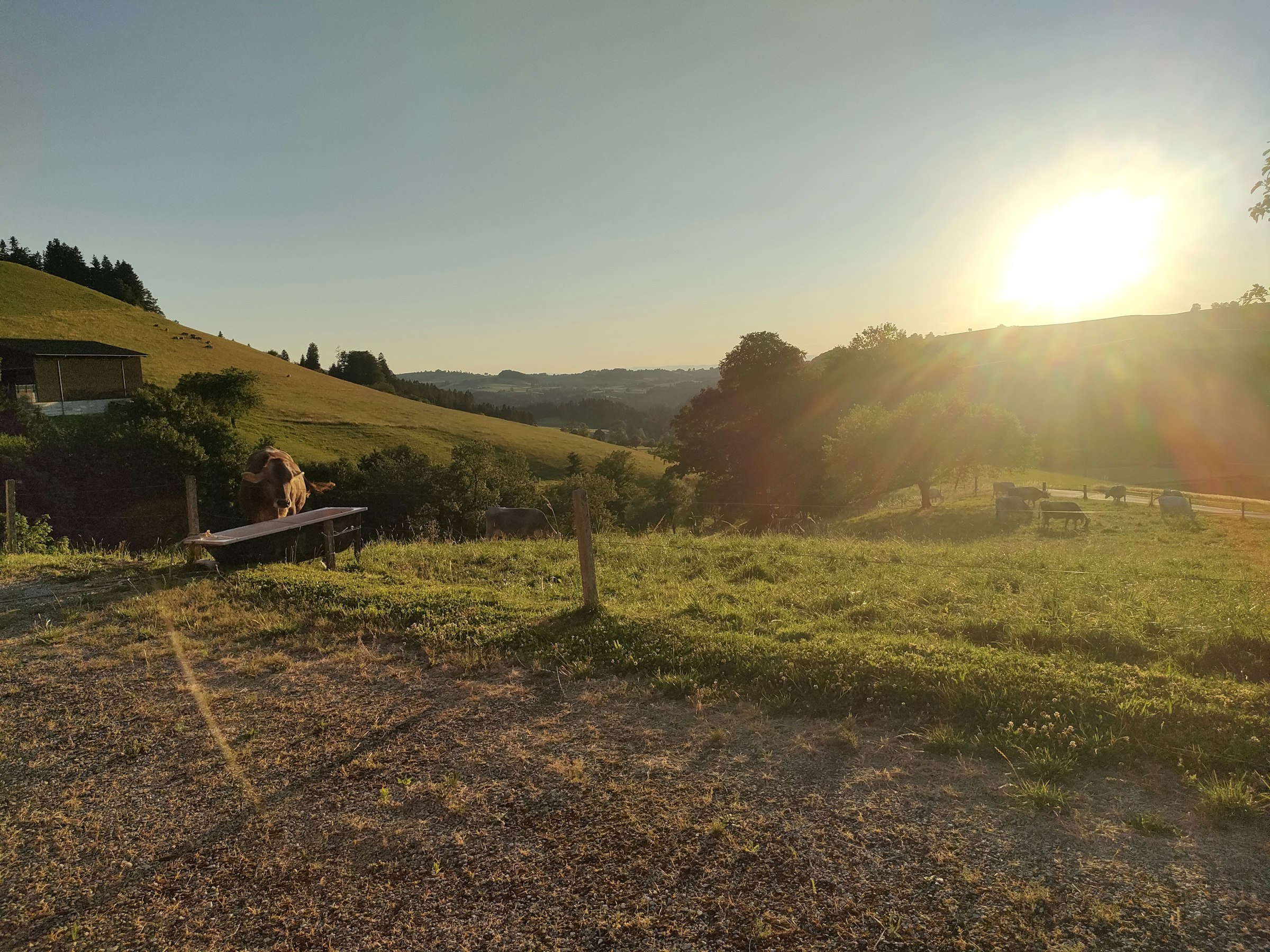 Blick in den Jura