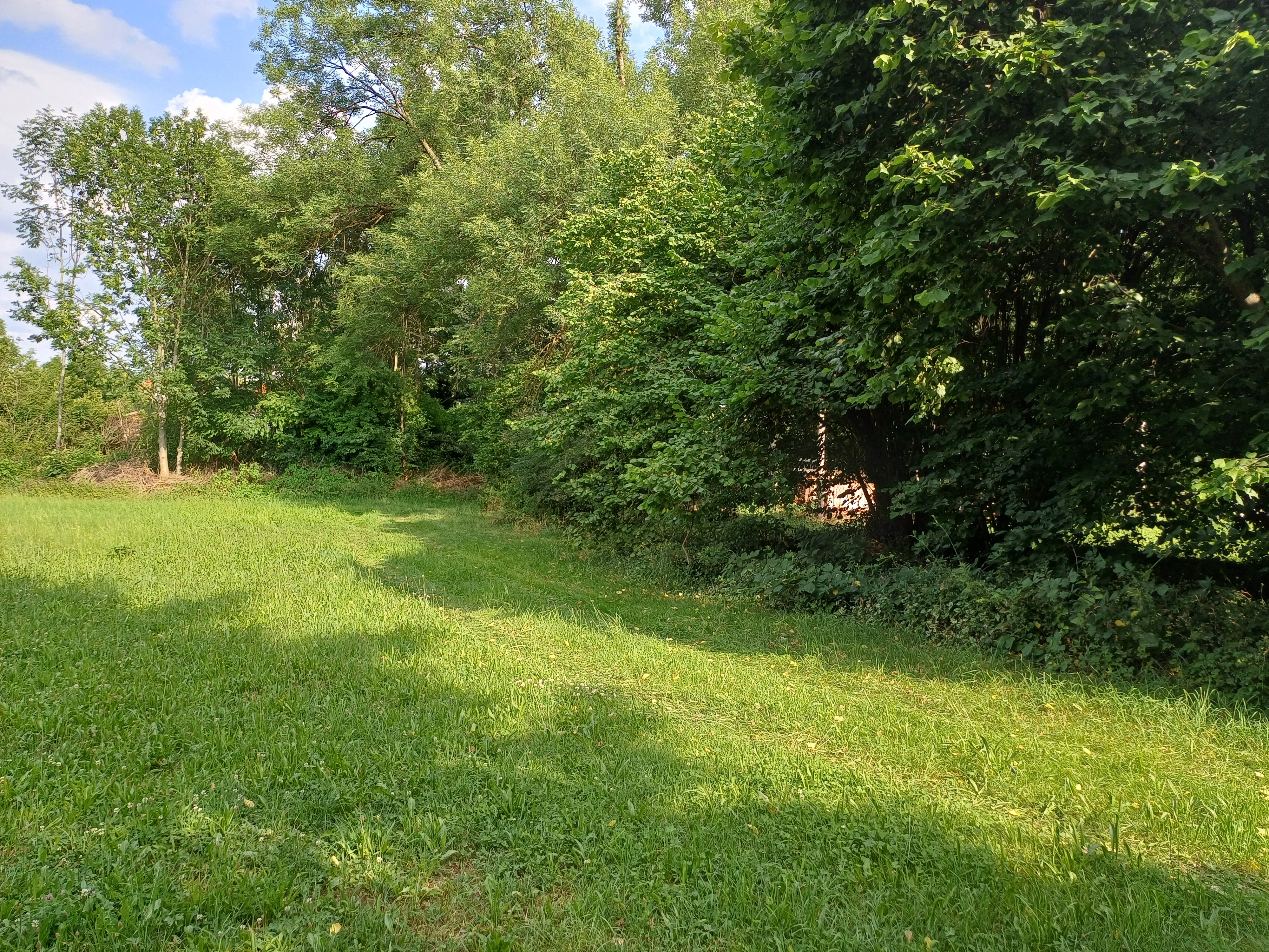 Kleine Wiese beim Bauernhof photo 5