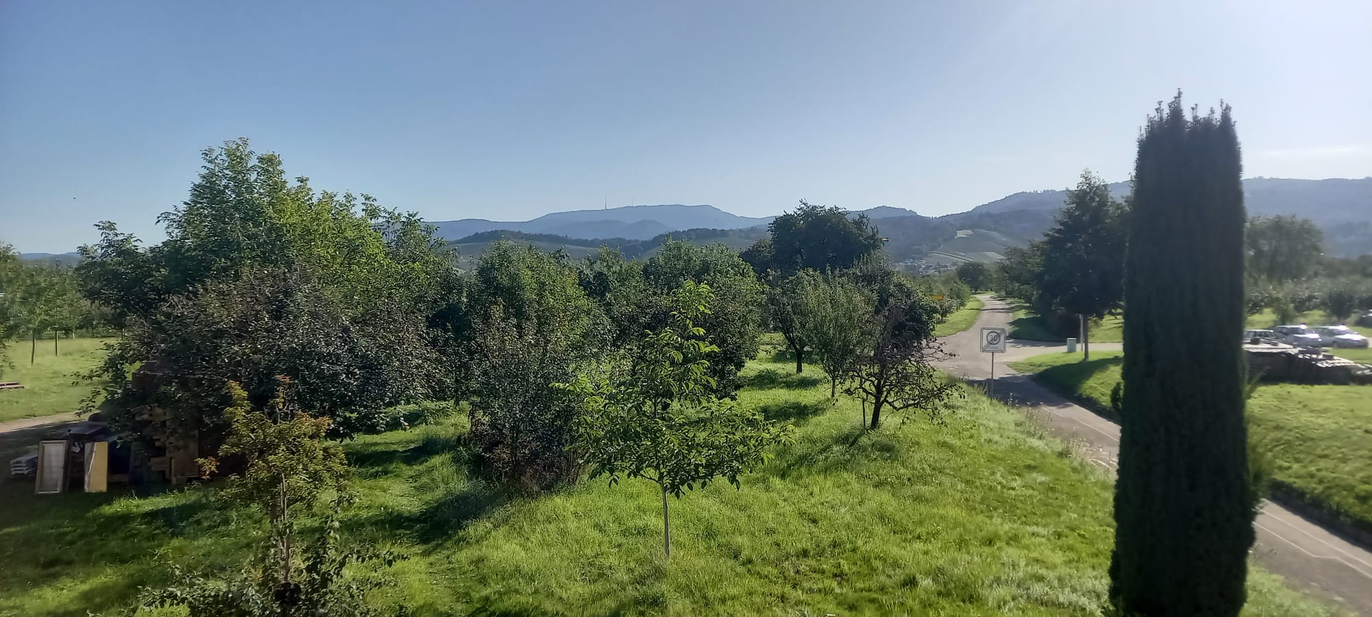 Stellplatz auf Streuobstwiese am Dorfrand photo 4